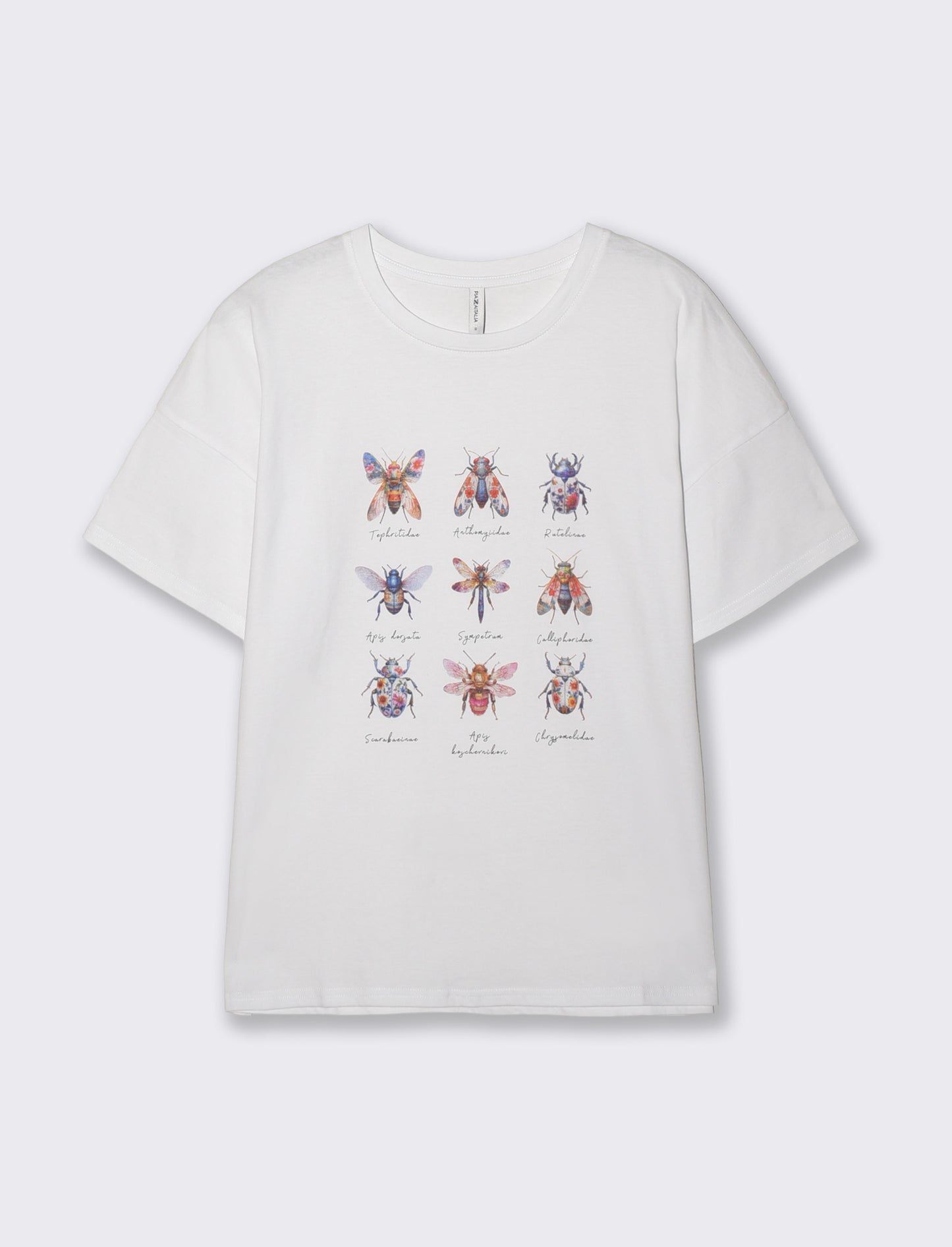 T-Shirt Manica Corta con Stampa - var 3
