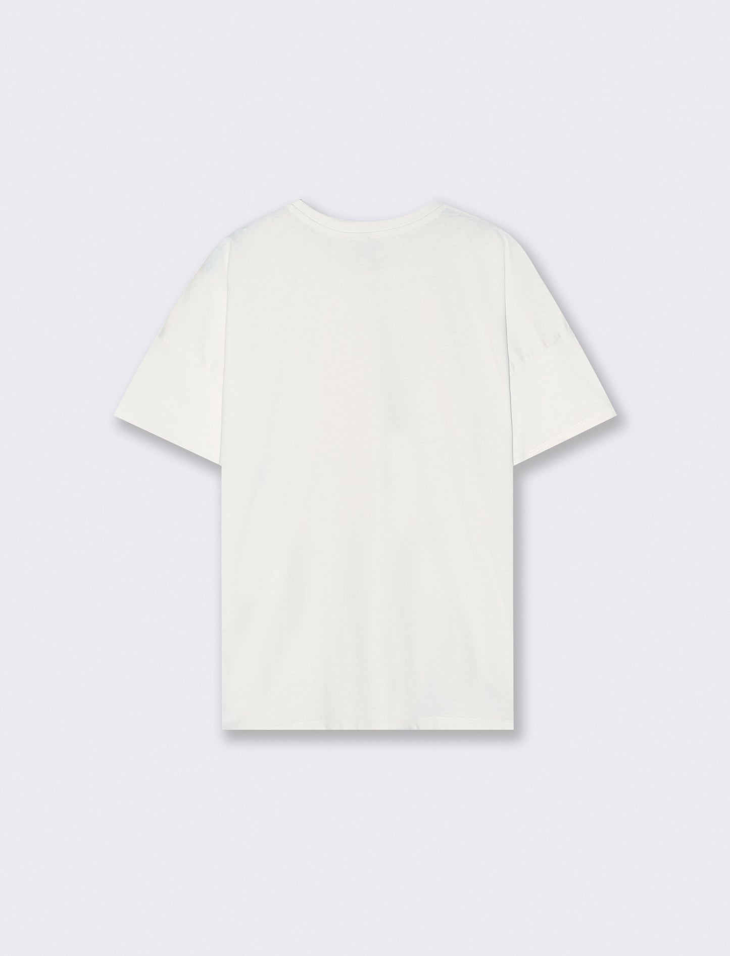 Basic T-shirt with tone-on-tone floral embroidery - Beige