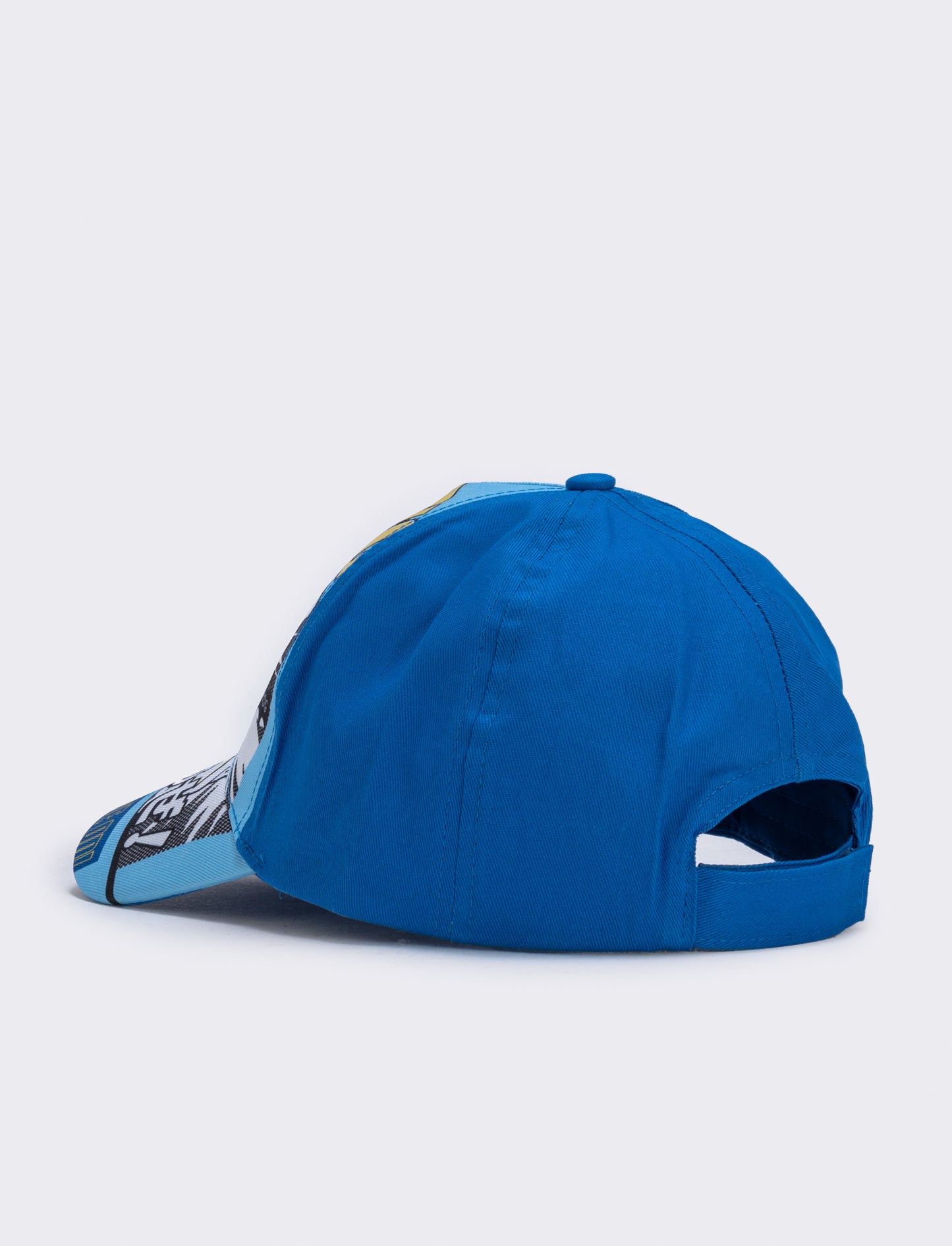 Various licensed children's baseball - Sky blue