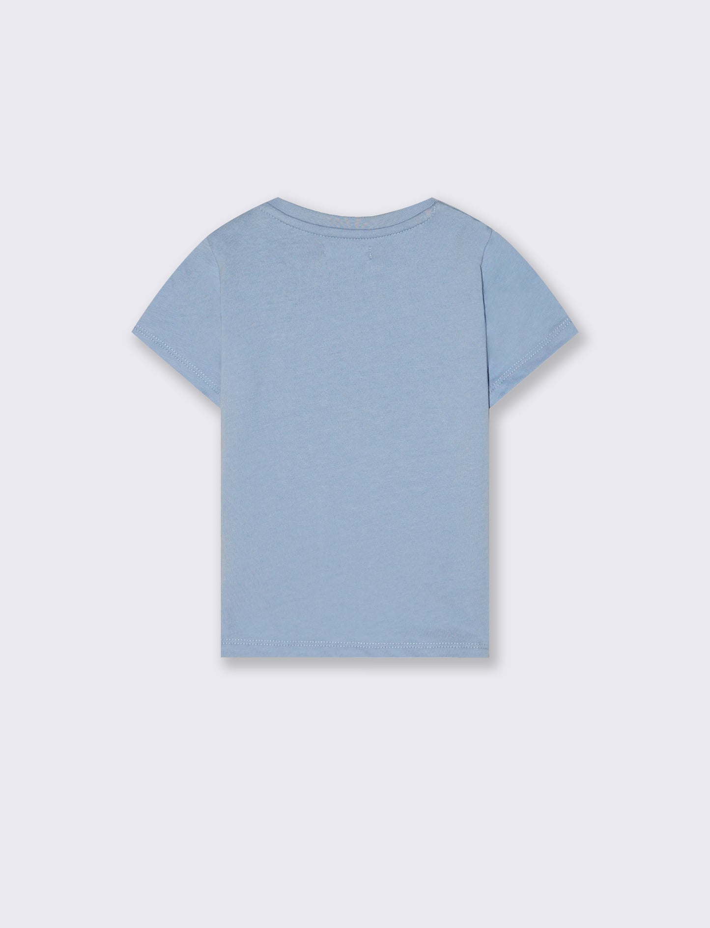 Crew neck T-shirt with print and embroidery - Sky blue
