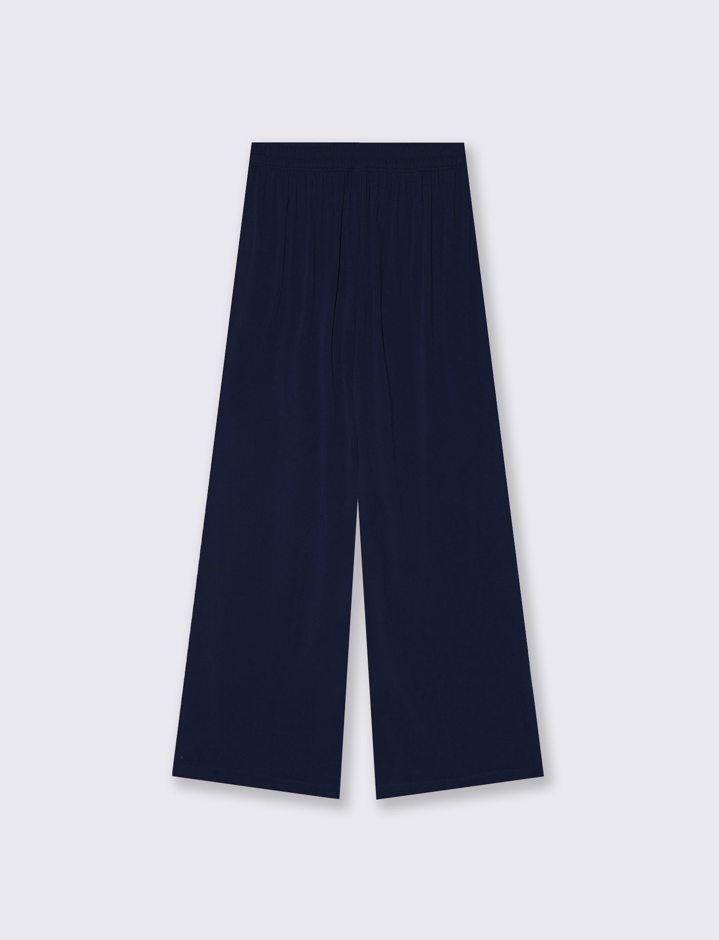 Pants with Elastic Back - Blue