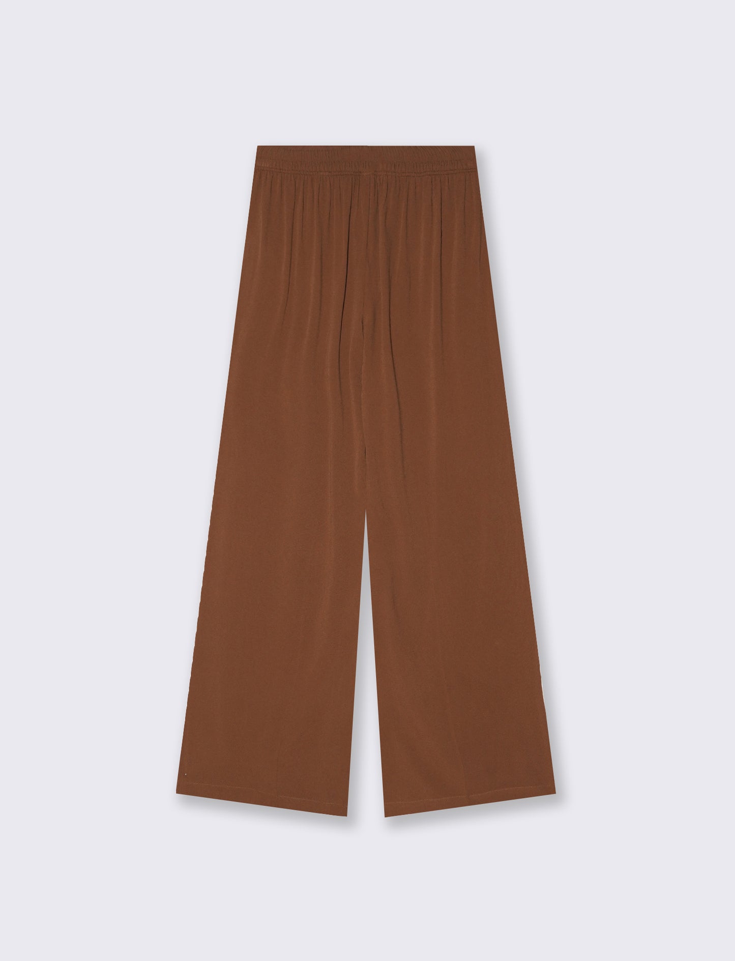 Pants with Elastic Back - Brown