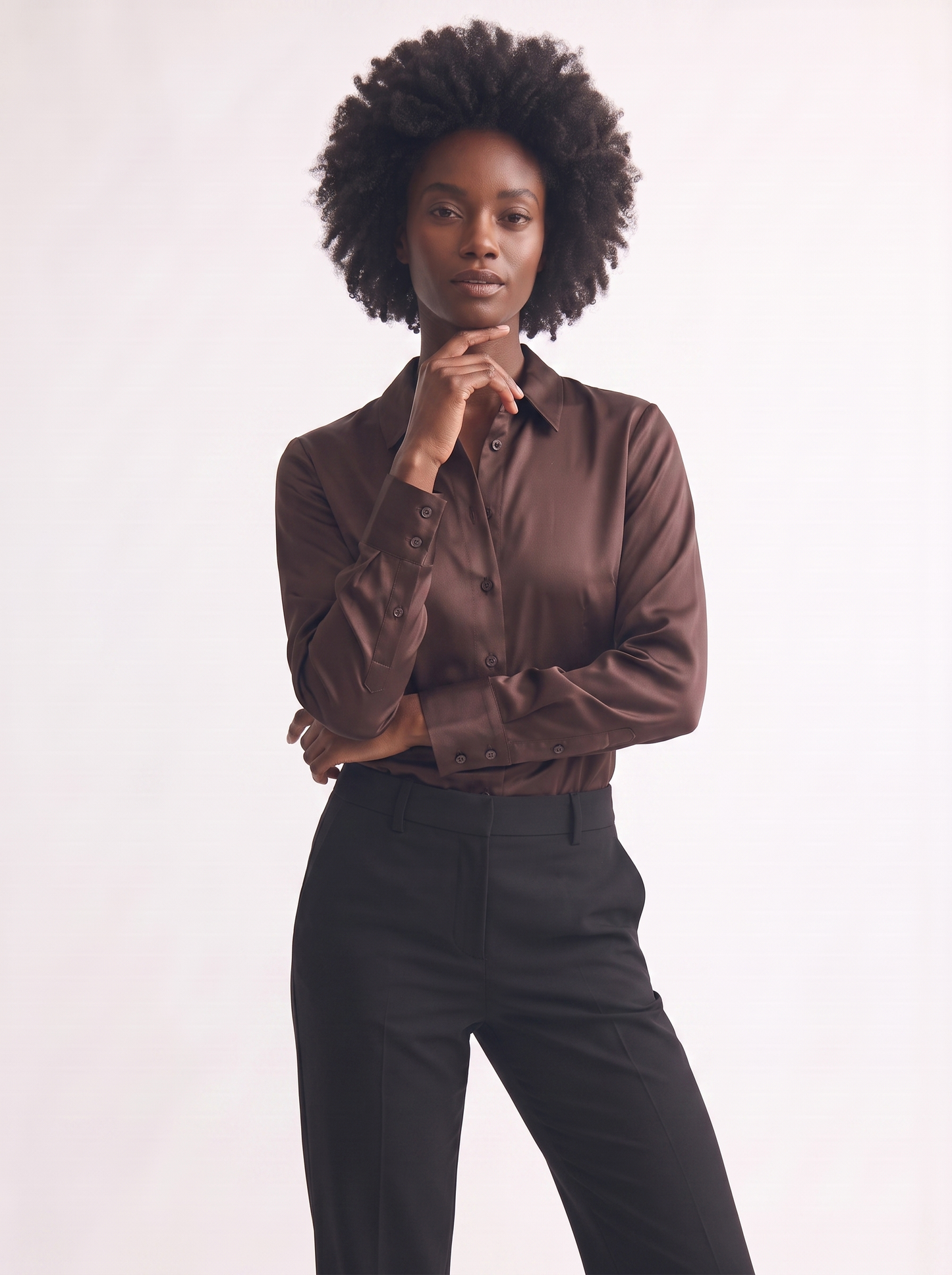 Slim Elegant Long Sleeve Shirt - Brown