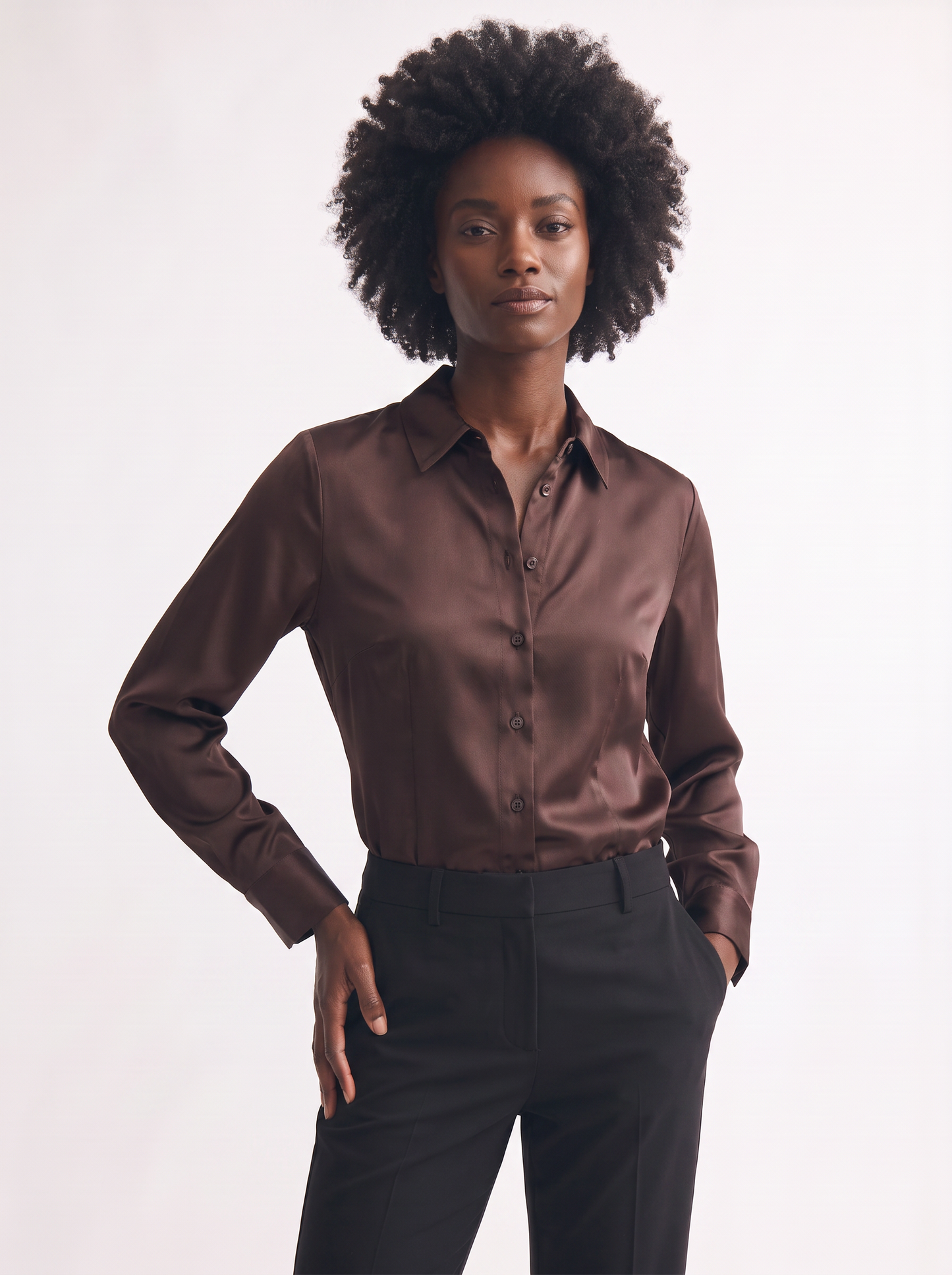 Slim Elegant Long Sleeve Shirt - Brown
