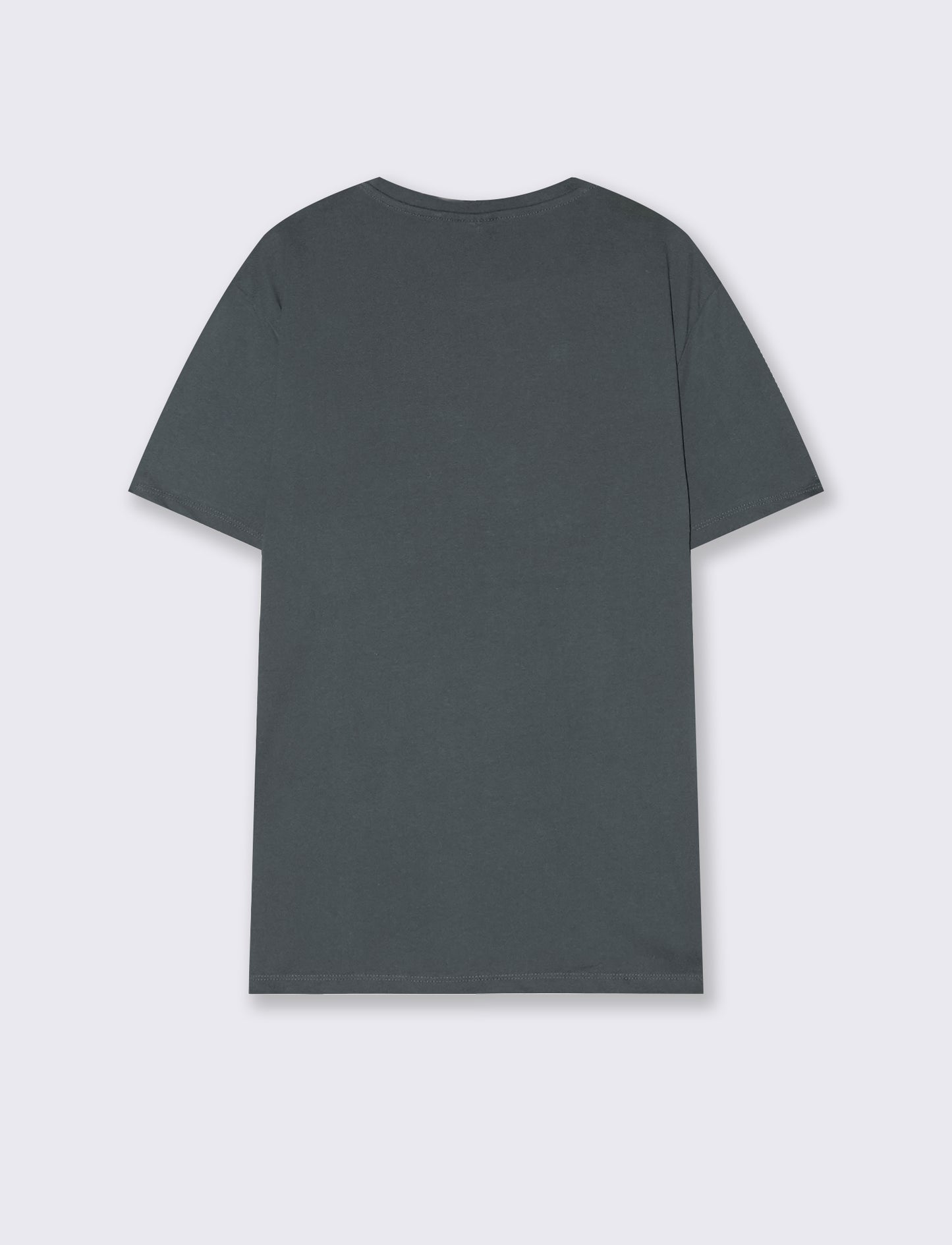 Regular fit cotton crew neck T-shirt - Blue