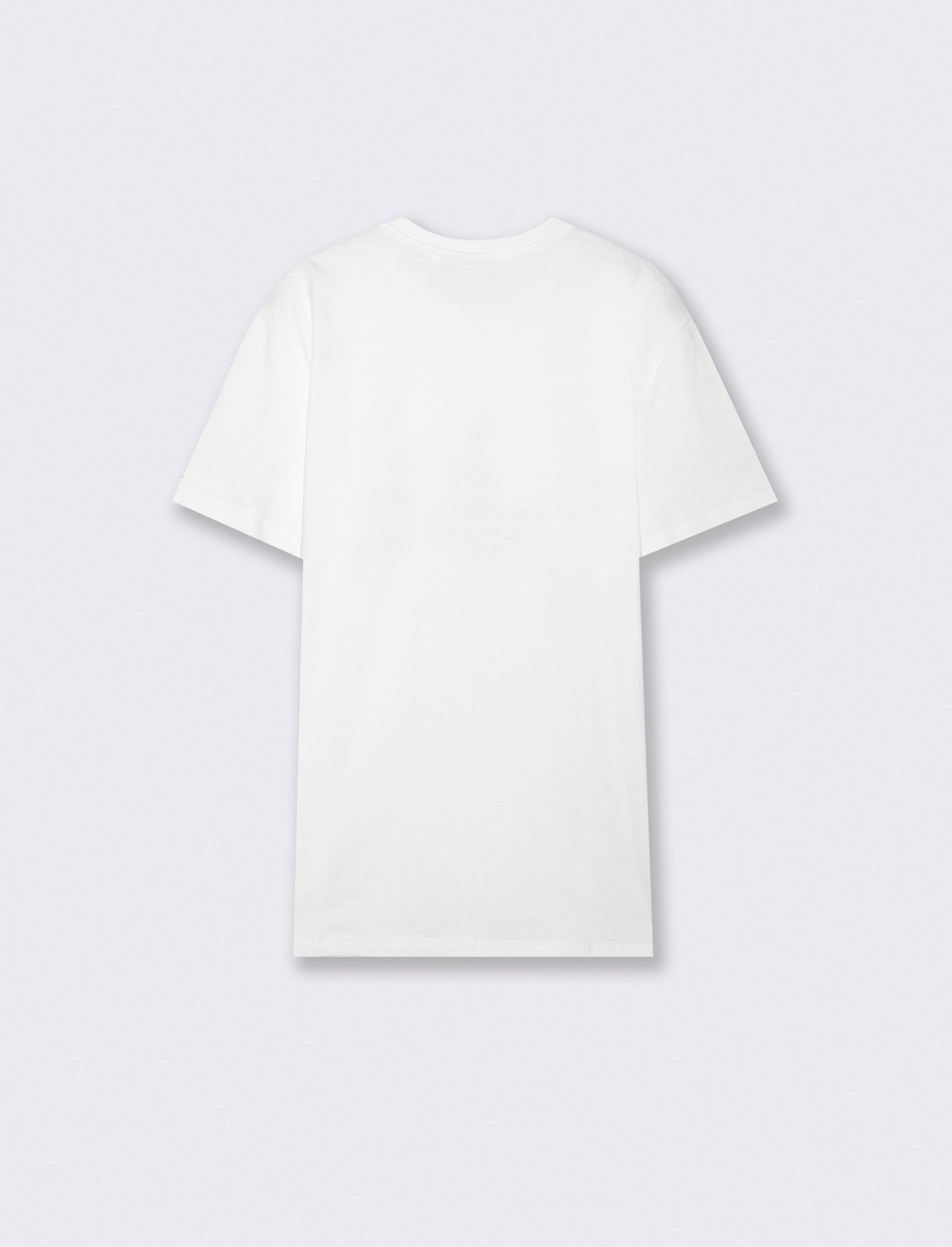 Cotton regular fit crew neck T-shirt - White