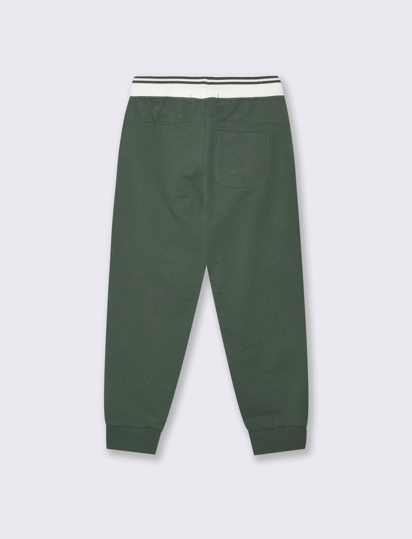 Jogger Bicolore in Cotone per Tempo Libero - Verde abete