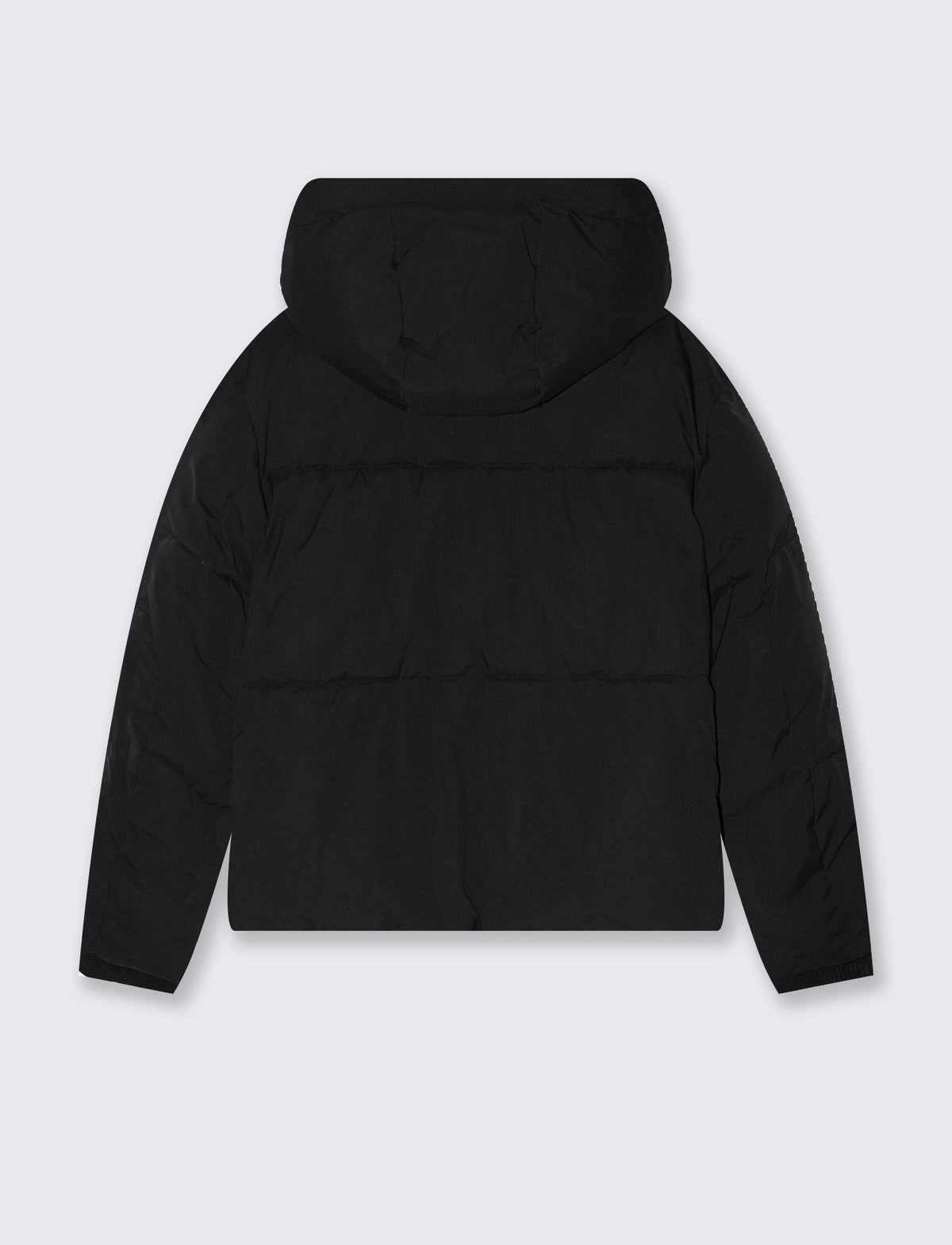 Padded jacket with hood and pockets - Black