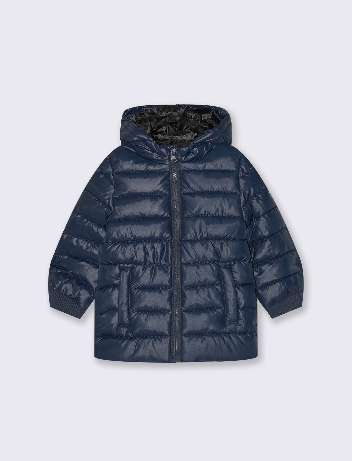 Basic quilted jacket with printed lining - Blue