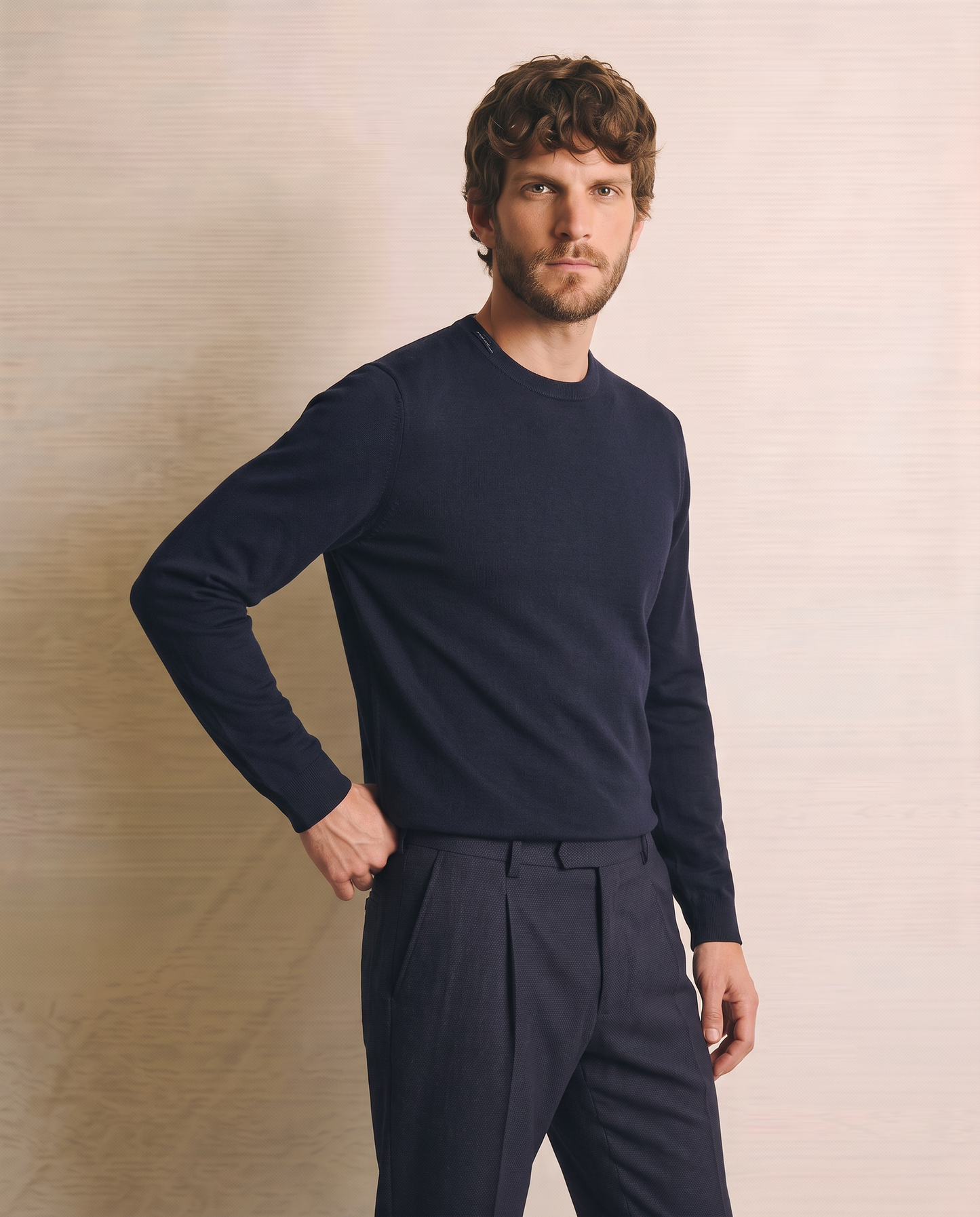 Basic Regular Fit Crew Neck Sweater - Blue