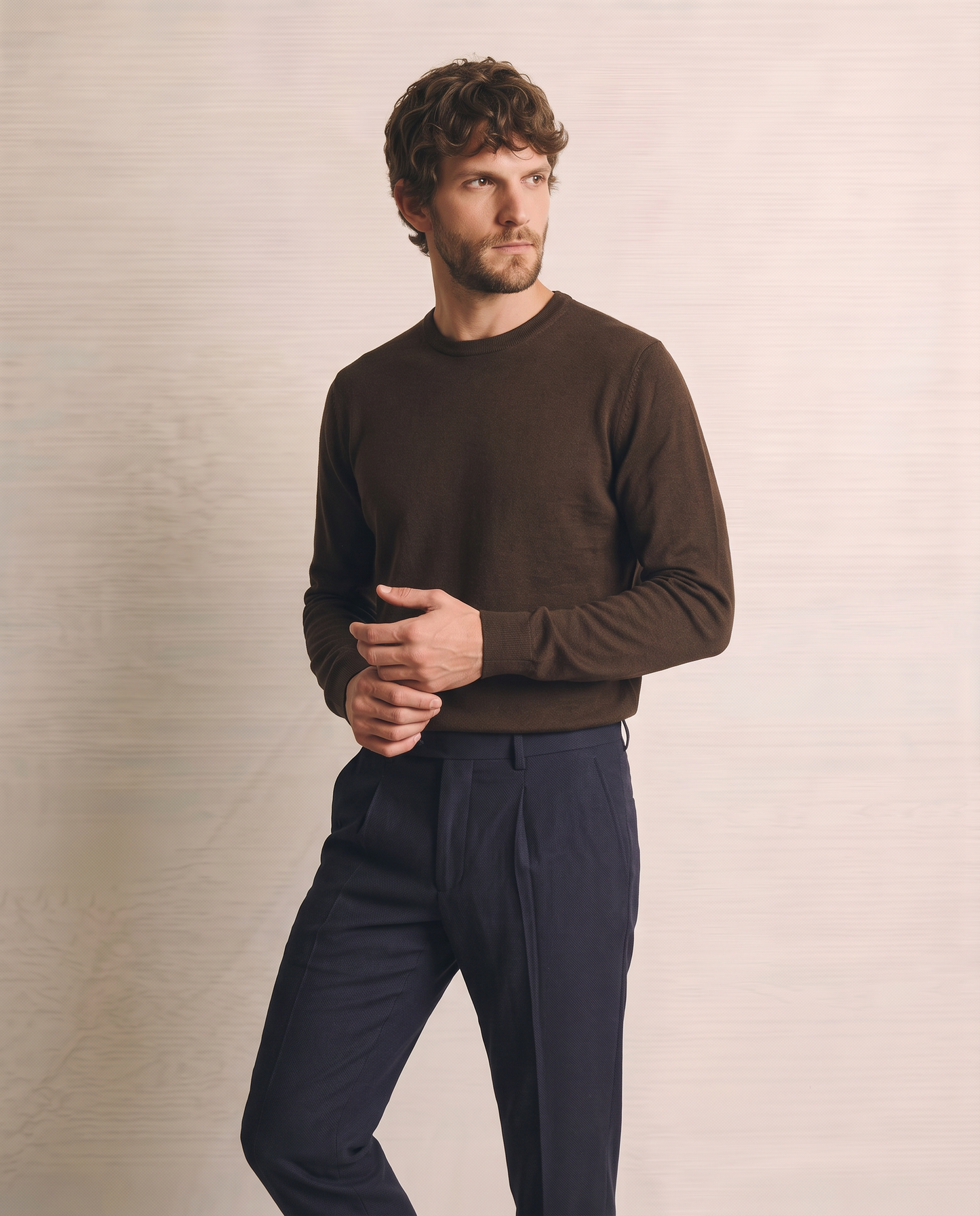 Basic Regular Fit Crew Neck Sweater - Brown