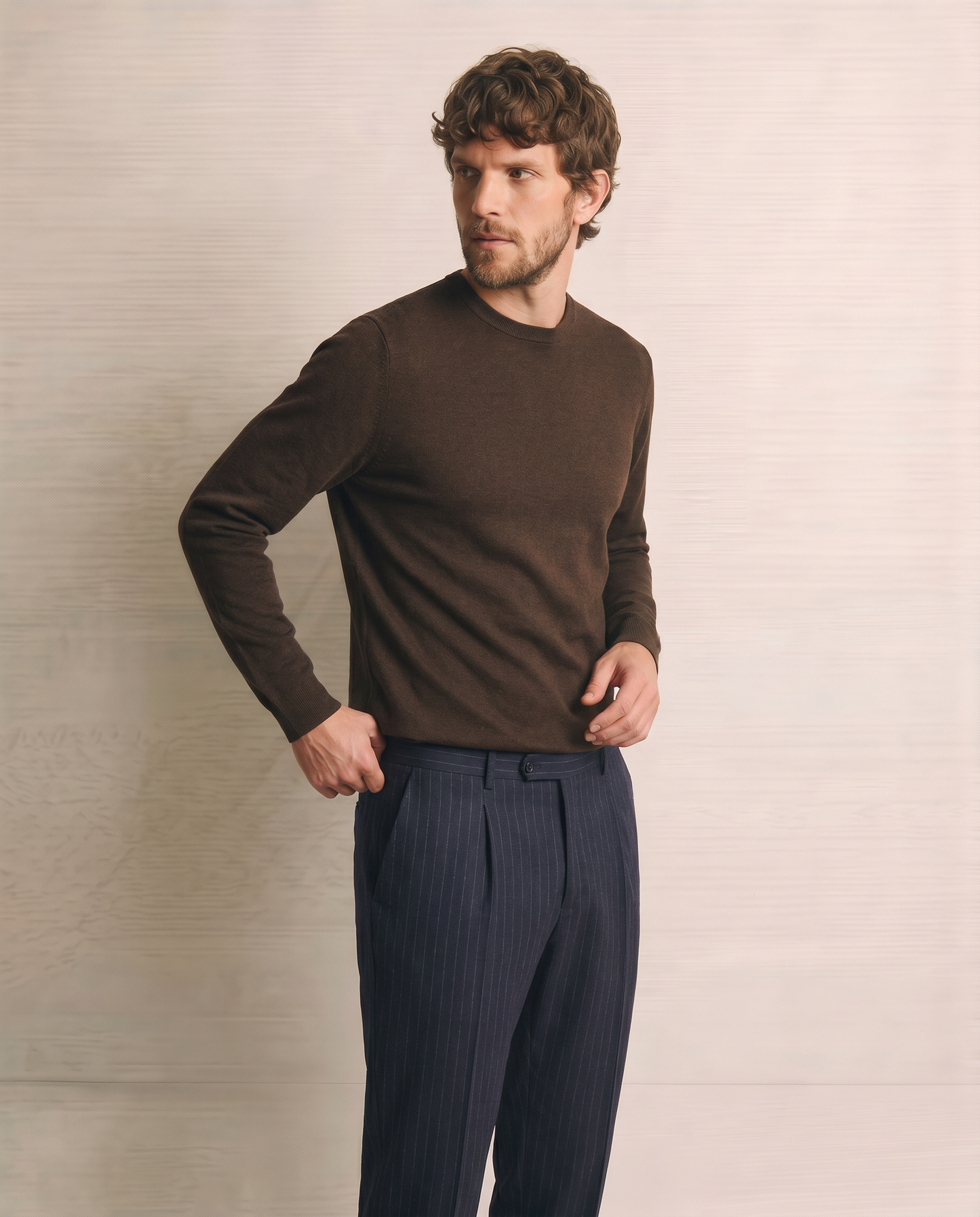 Basic Regular Fit Crew Neck Sweater - Brown