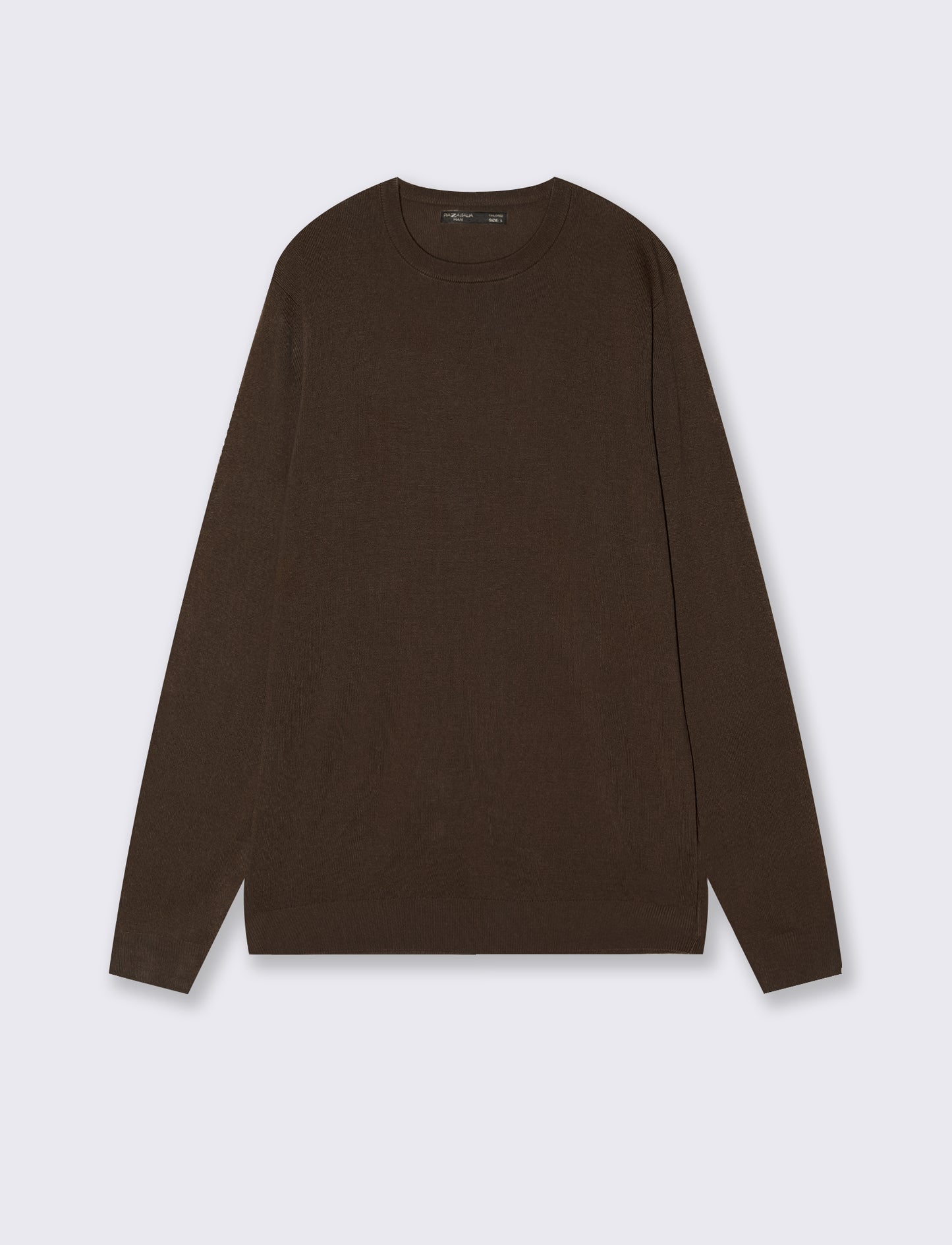 Basic Regular Fit Crew Neck Sweater - Brown