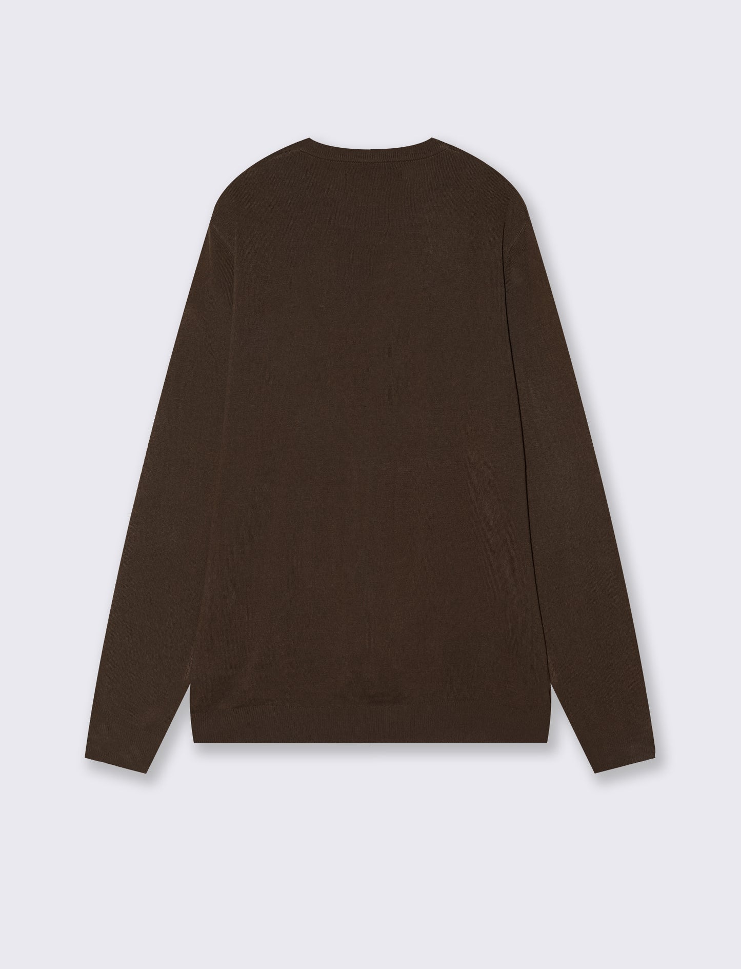 Basic Regular Fit Crew Neck Sweater - Brown