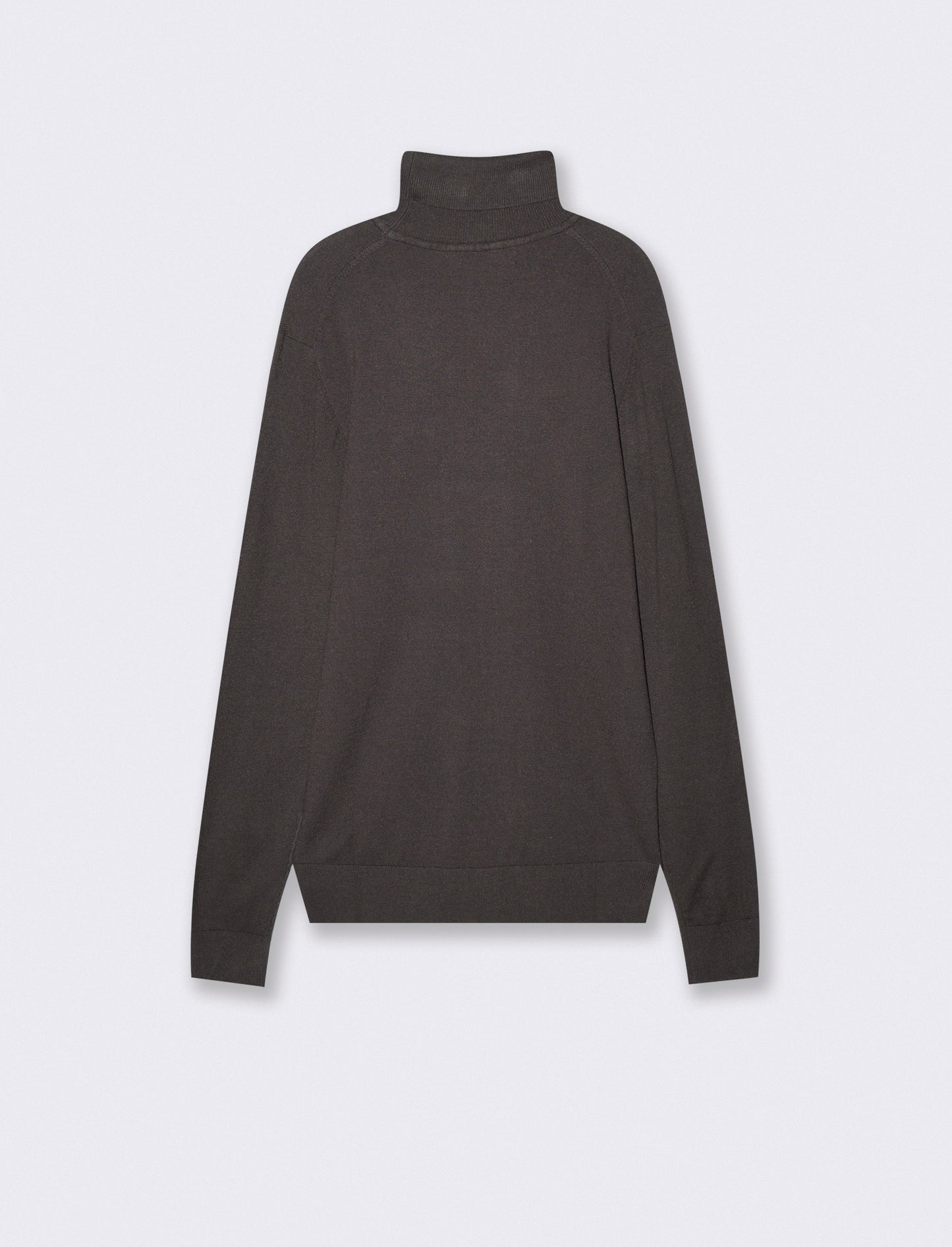 Soft Touch Basic Regular Fit Turtleneck Sweater - Brown