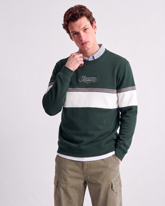 Crewneck sweatshirt with embroidery and contrast band - Green