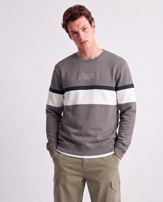 Crewneck sweatshirt with embroidery and contrast band - Grey
