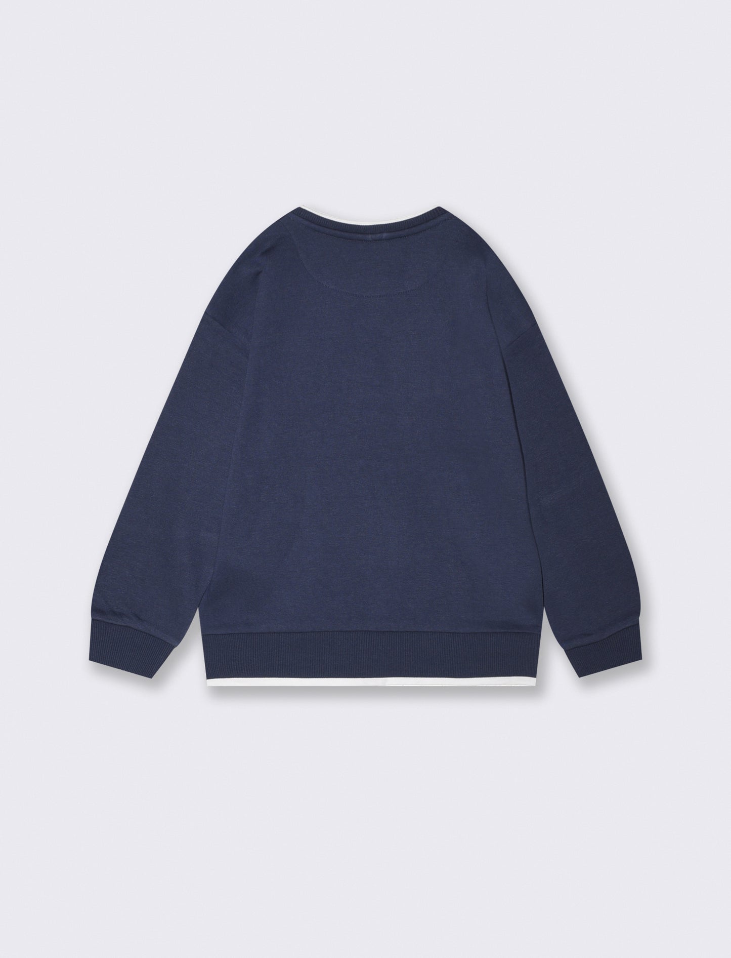 Crewneck sweatshirt with embroidery and comfort - Blue