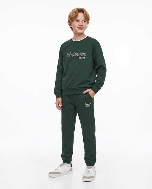 Felpa girocollo con ricamo e comfort - Verde abete