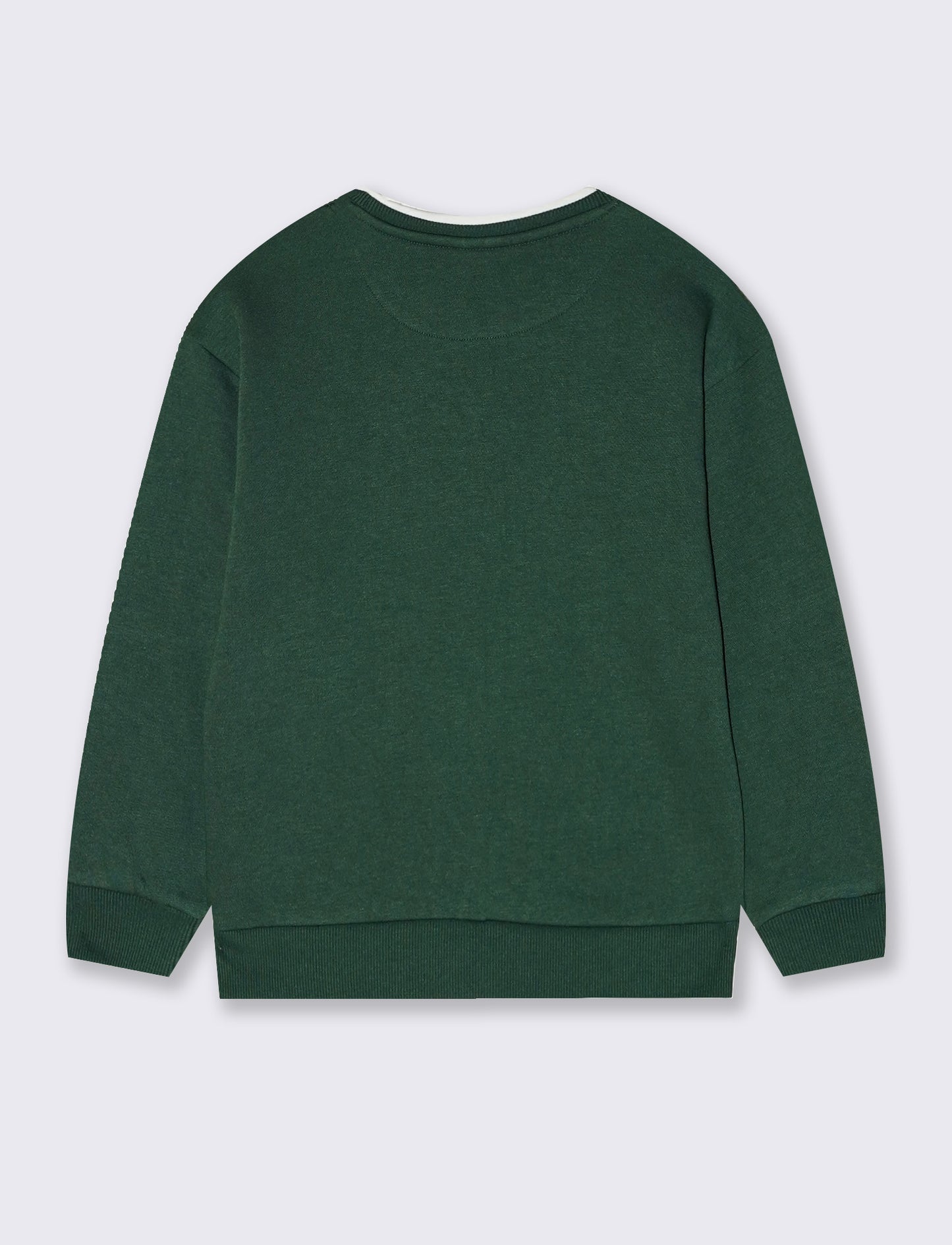 Crewneck sweatshirt with embroidery and comfort - Green
