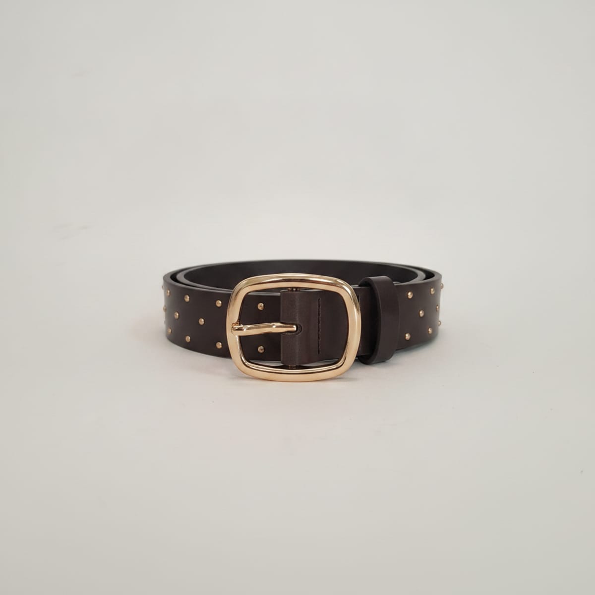 Semi-shiny belt with small studs - Grey