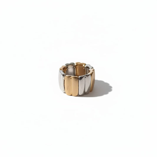 Anello a fascia elastico lucido e matte - Multicolore