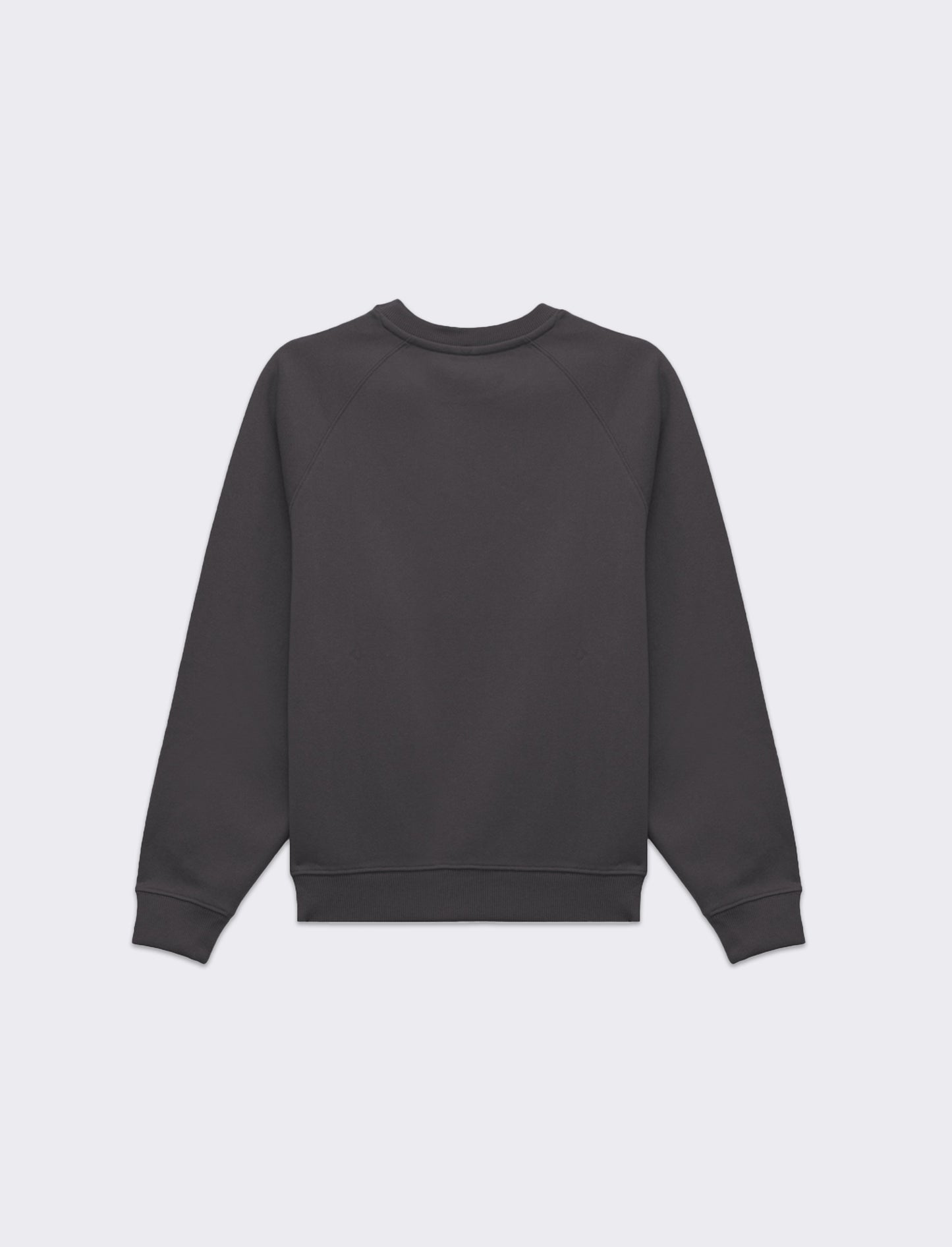 Woman's long sleeve crew neck sweatshirt - Grey