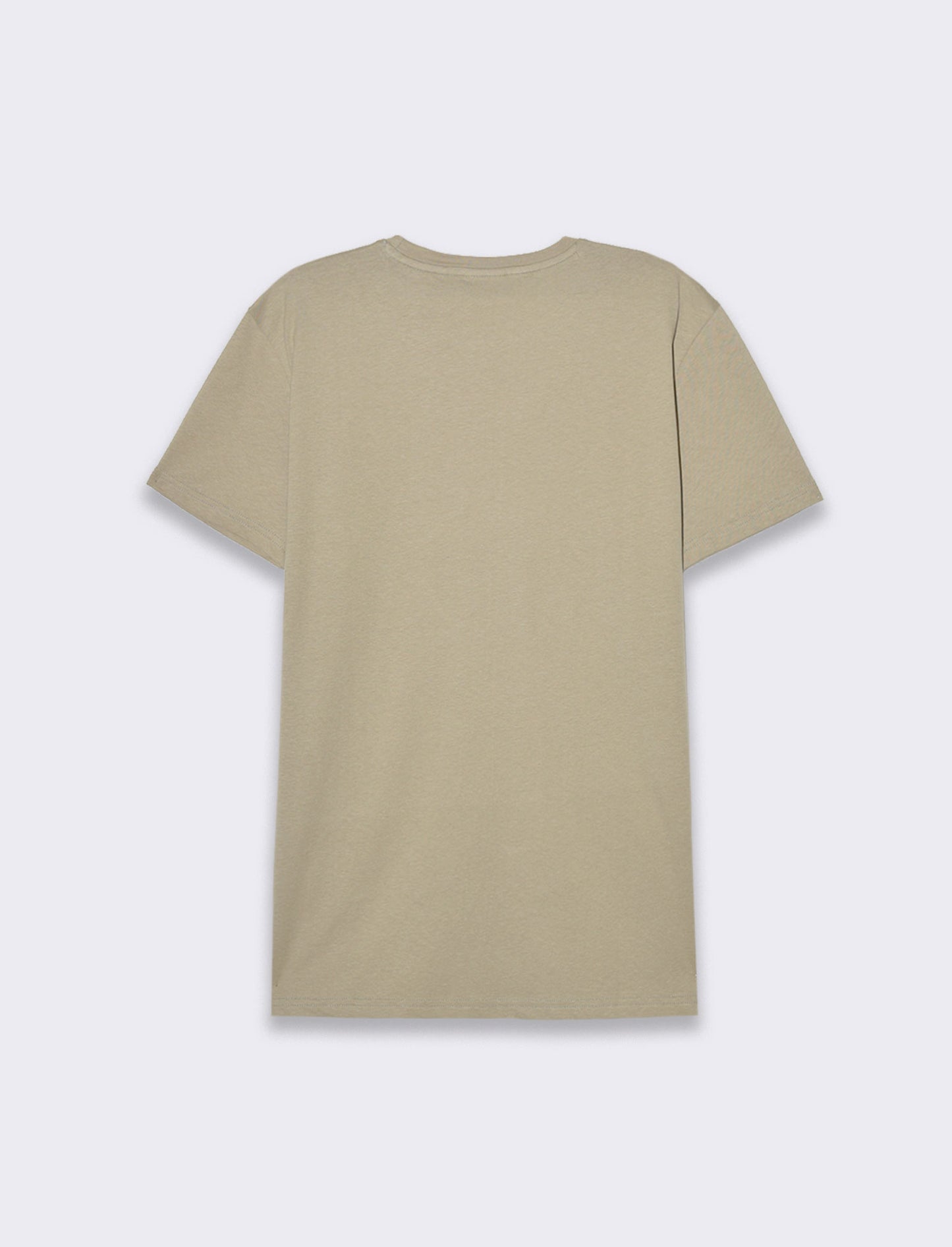 T-shirt in cotone con stampa regular fit da uomo - Verde salvia
