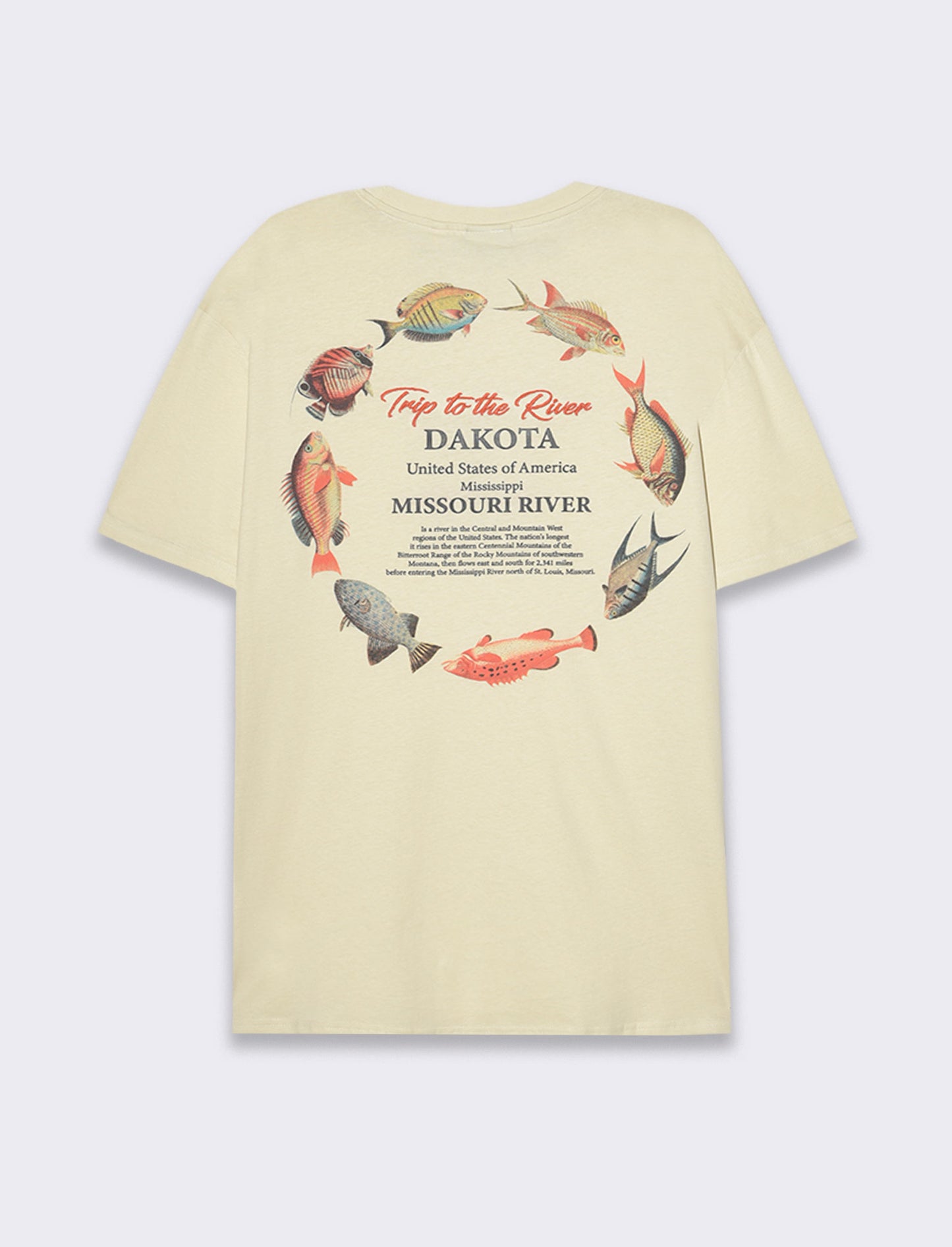 T-shirt loose fit in cotone con stampe da uomo - Beige ecru