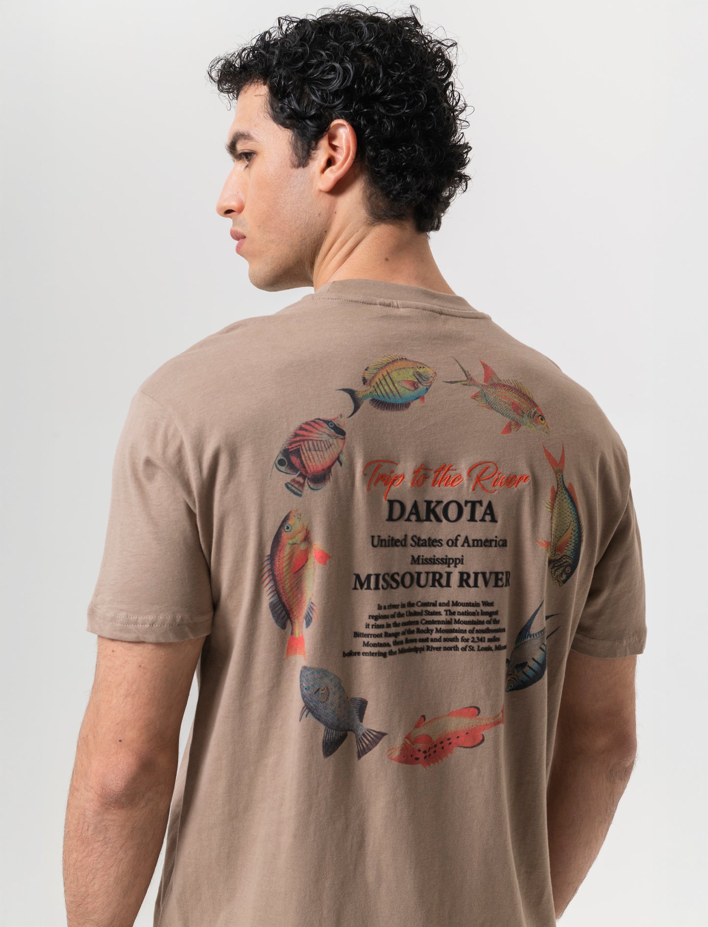 T-shirt loose fit in cotone con stampe da uomo - Grigio tortora