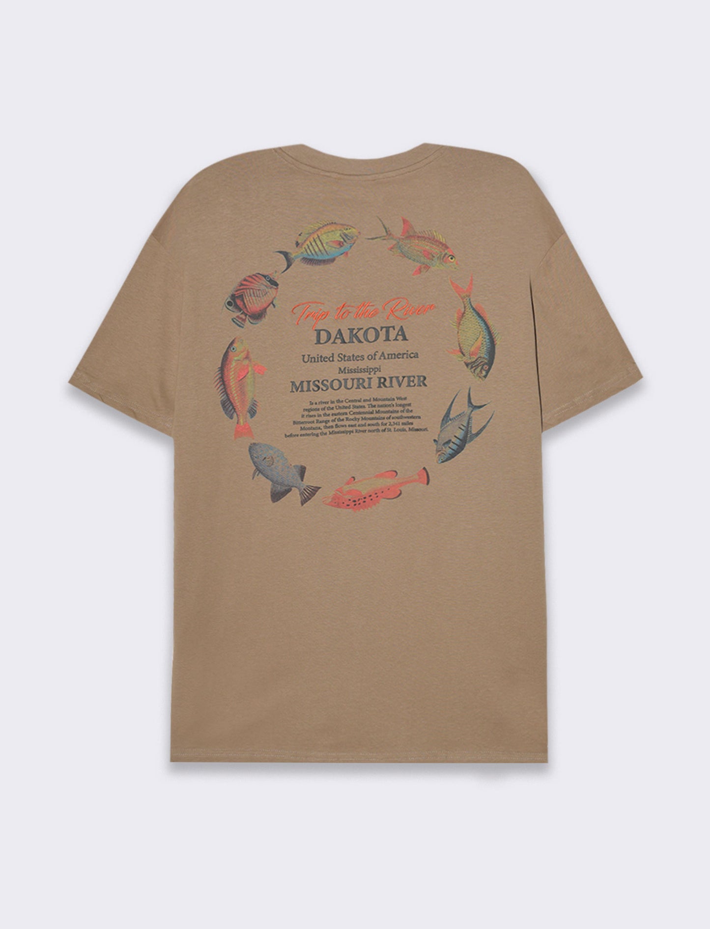 T-shirt loose fit in cotone con stampe da uomo - Grigio tortora