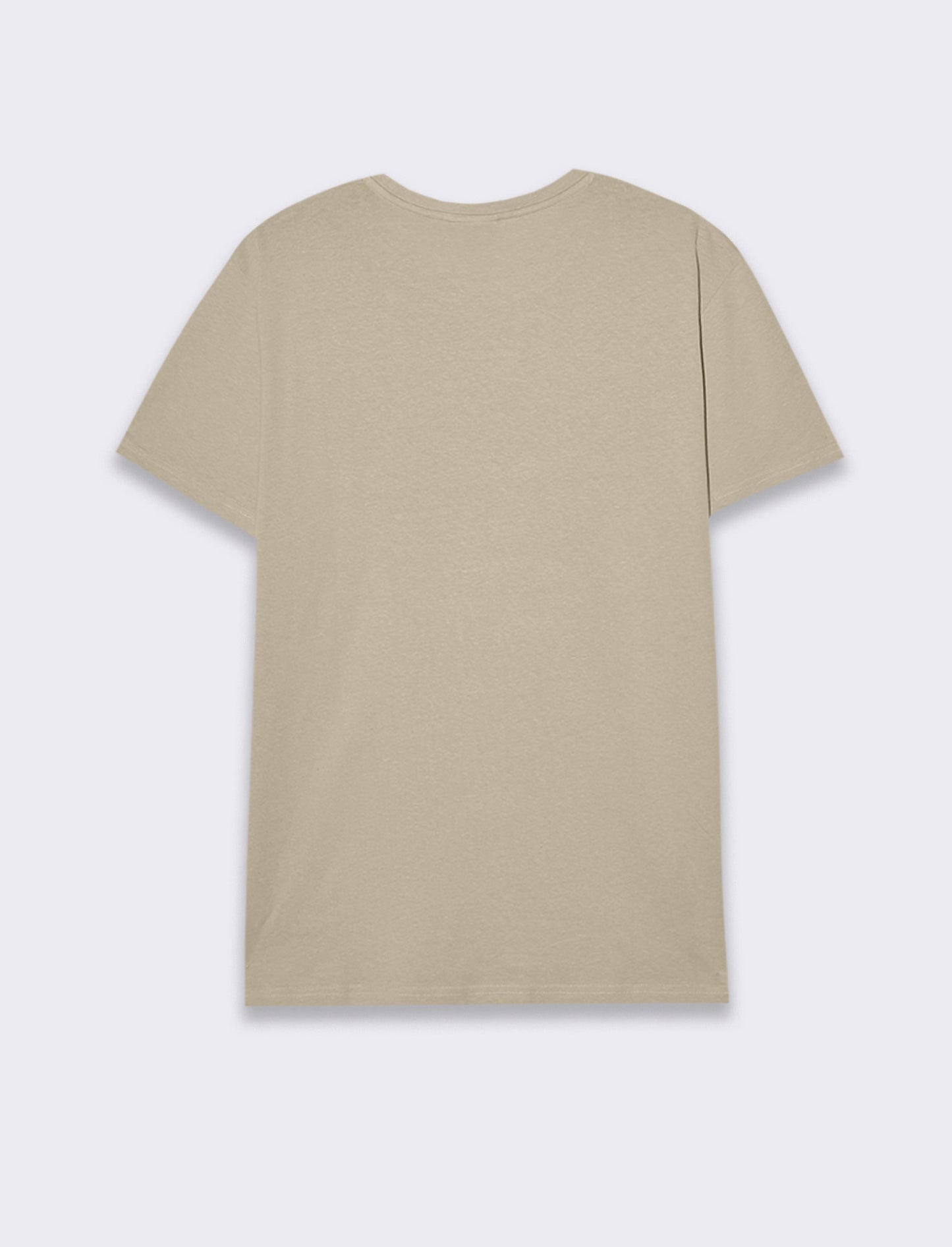 T-shirt in cotone con stampa da uomo - Grigio ghiaccio