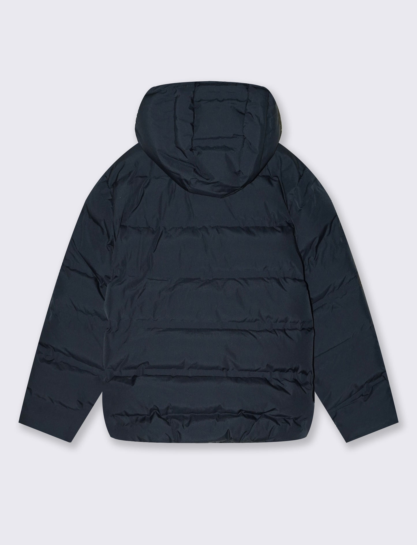Padded jacket with hood and pockets - Blue