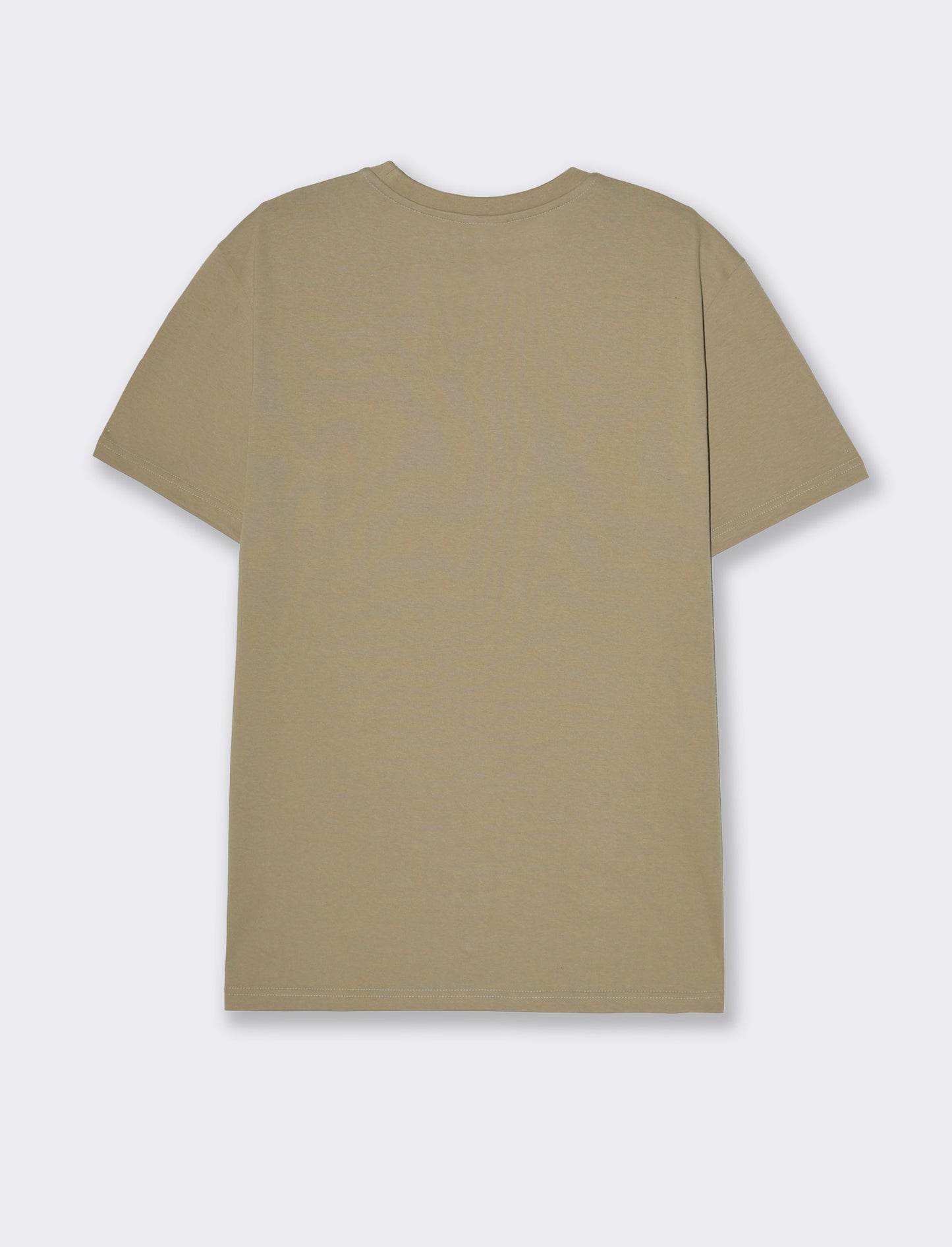 T-shirt regular fit con stampa da uomo - Verde salvia