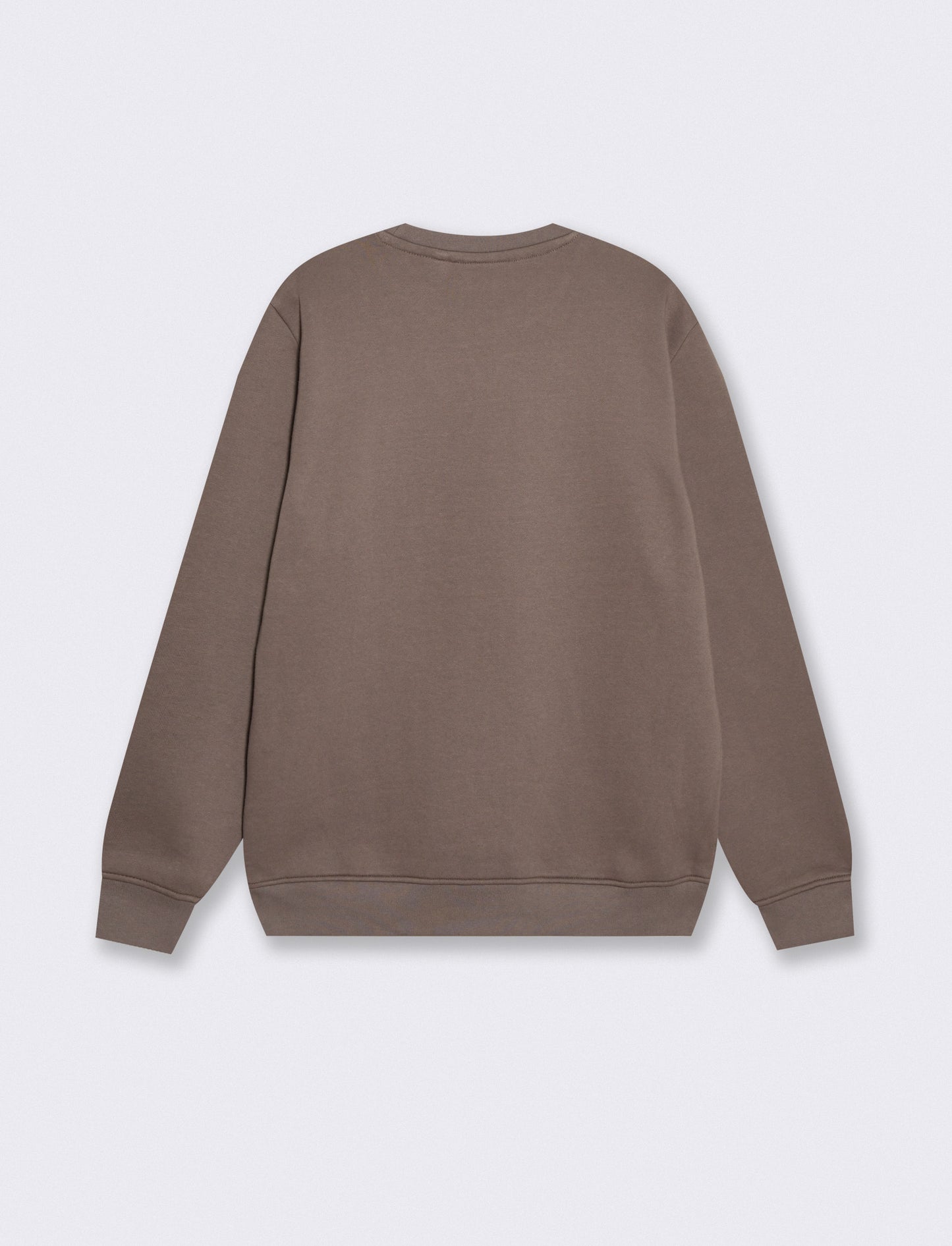 Felpa girocollo regular fit con ricamo - Grigio