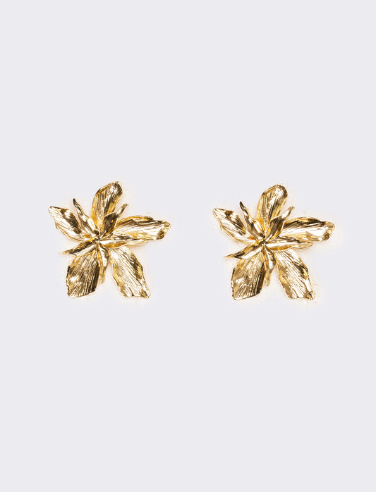 Orecchini donna fiore con striatura - Oro