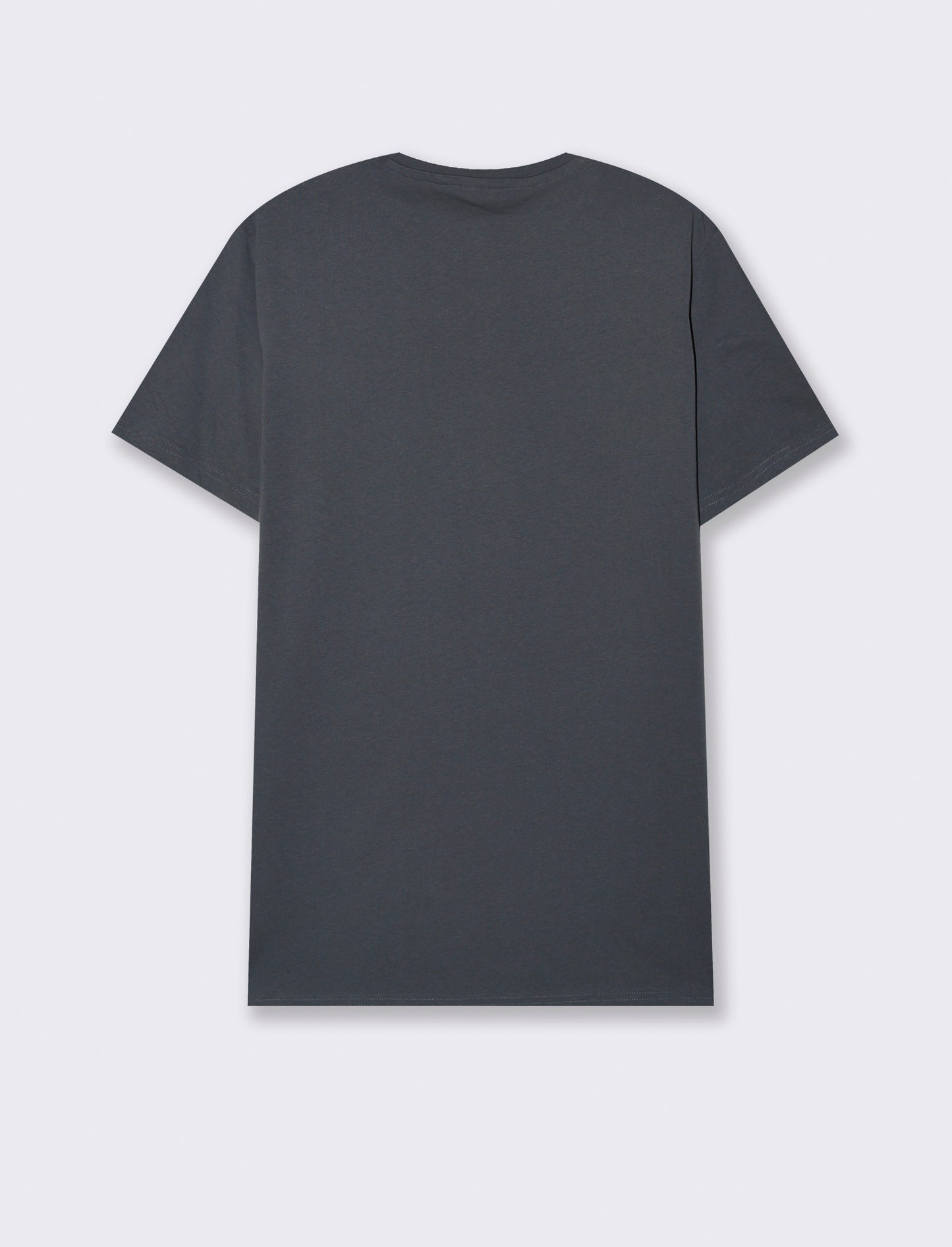 T-shirt in cotone con stampa regular fit da uomo - Avion