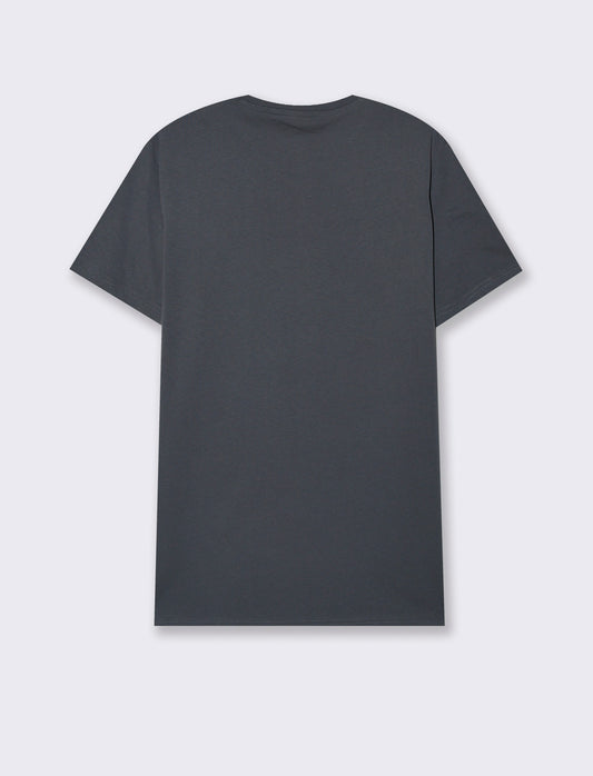 T-shirt in cotone con stampa regular fit da uomo - Avion