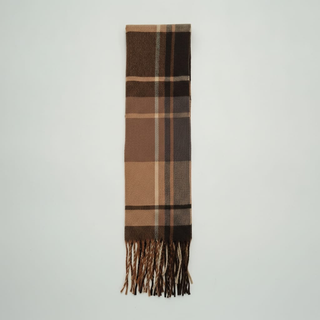 Men's scarf with fringed check pattern - Beige