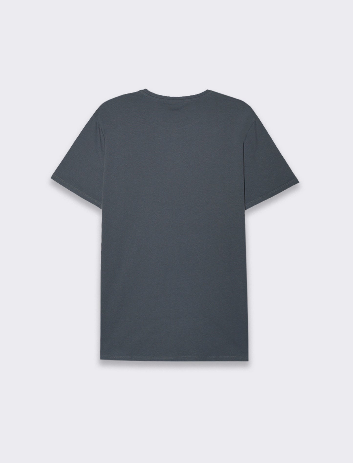T-SHIRT BASIC IN COTONE REGULAR FIT - Avion