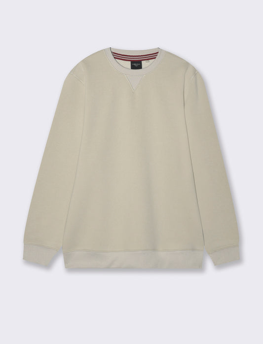 FELPA BASIC GIROCOLLO - Grigio ghiaccio