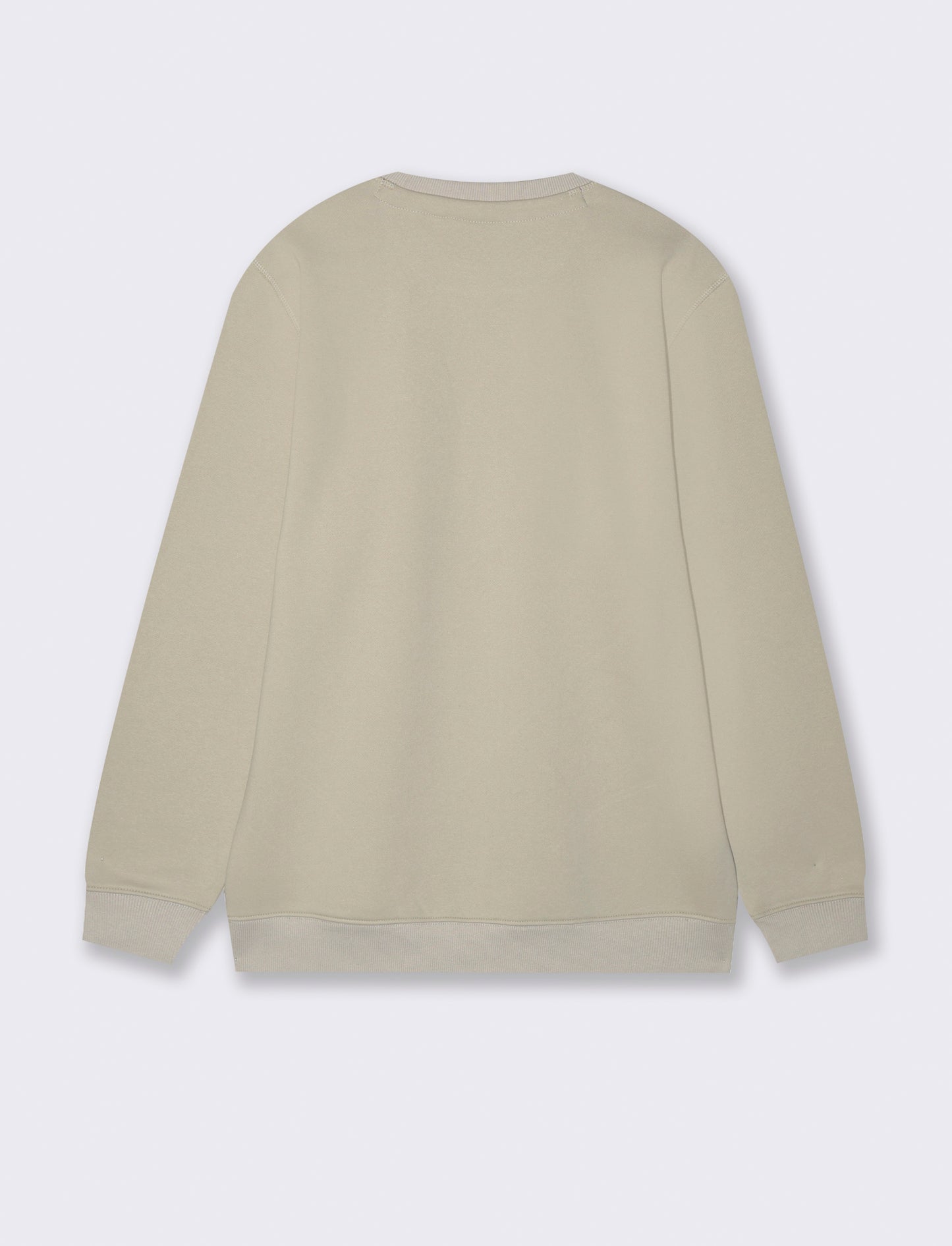 FELPA BASIC GIROCOLLO - Grigio ghiaccio