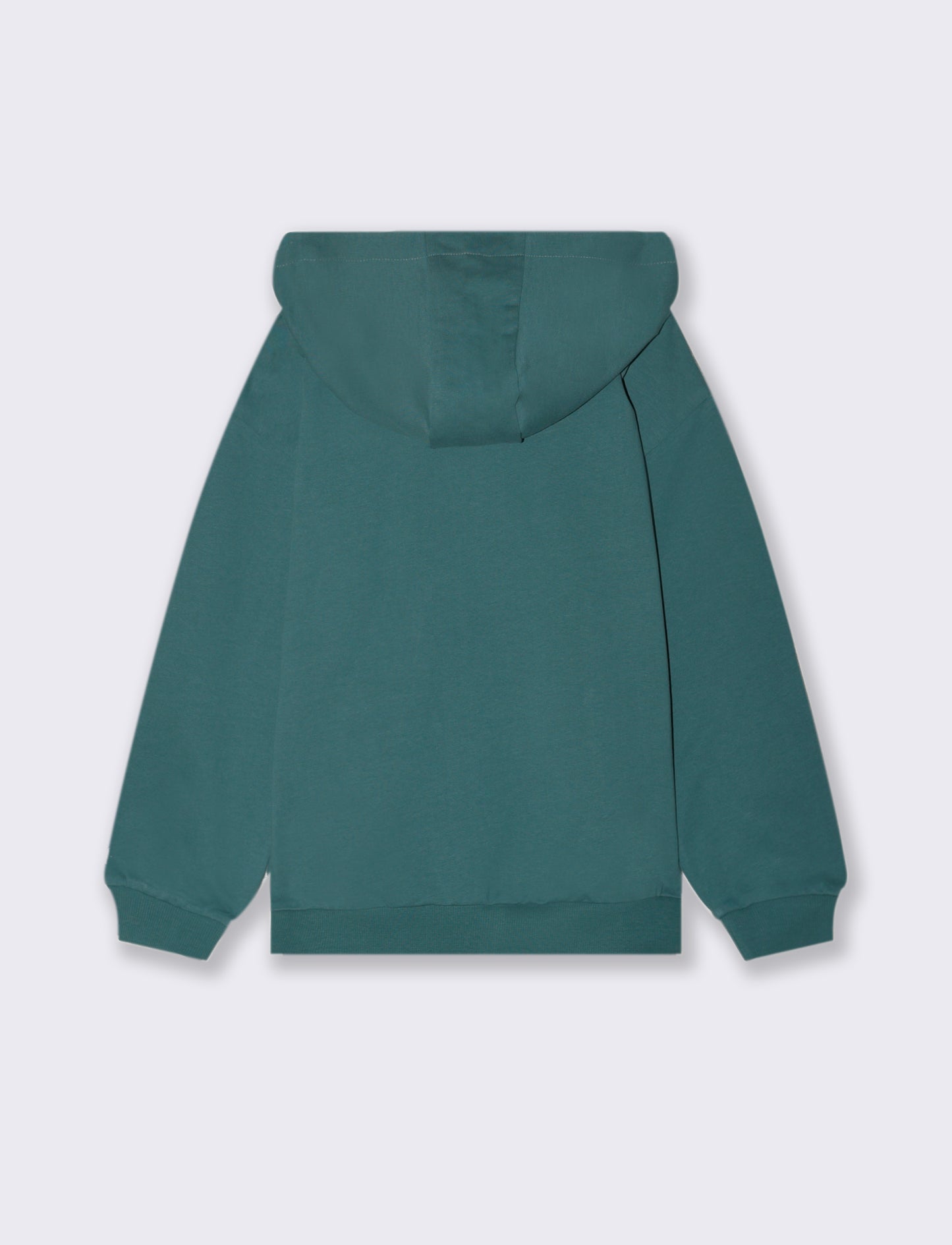 FELPA CON CAPPUCCIO - Verde