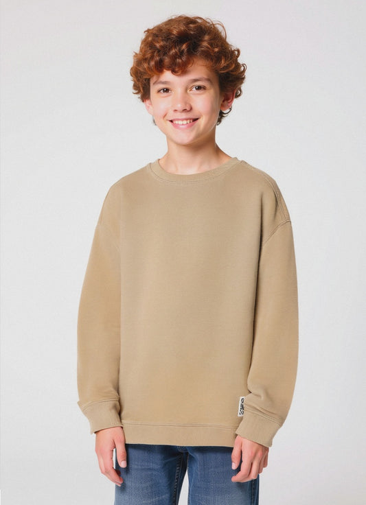 FELPA girocollo - Beige