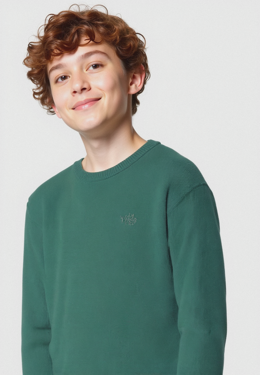 Maglioncino con ricamo - Verde