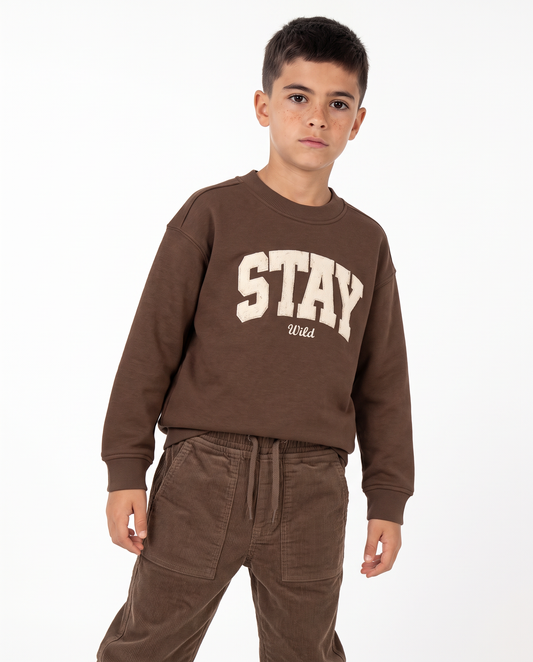 Crewneck sweatshirt with elegant embroidery - Brown