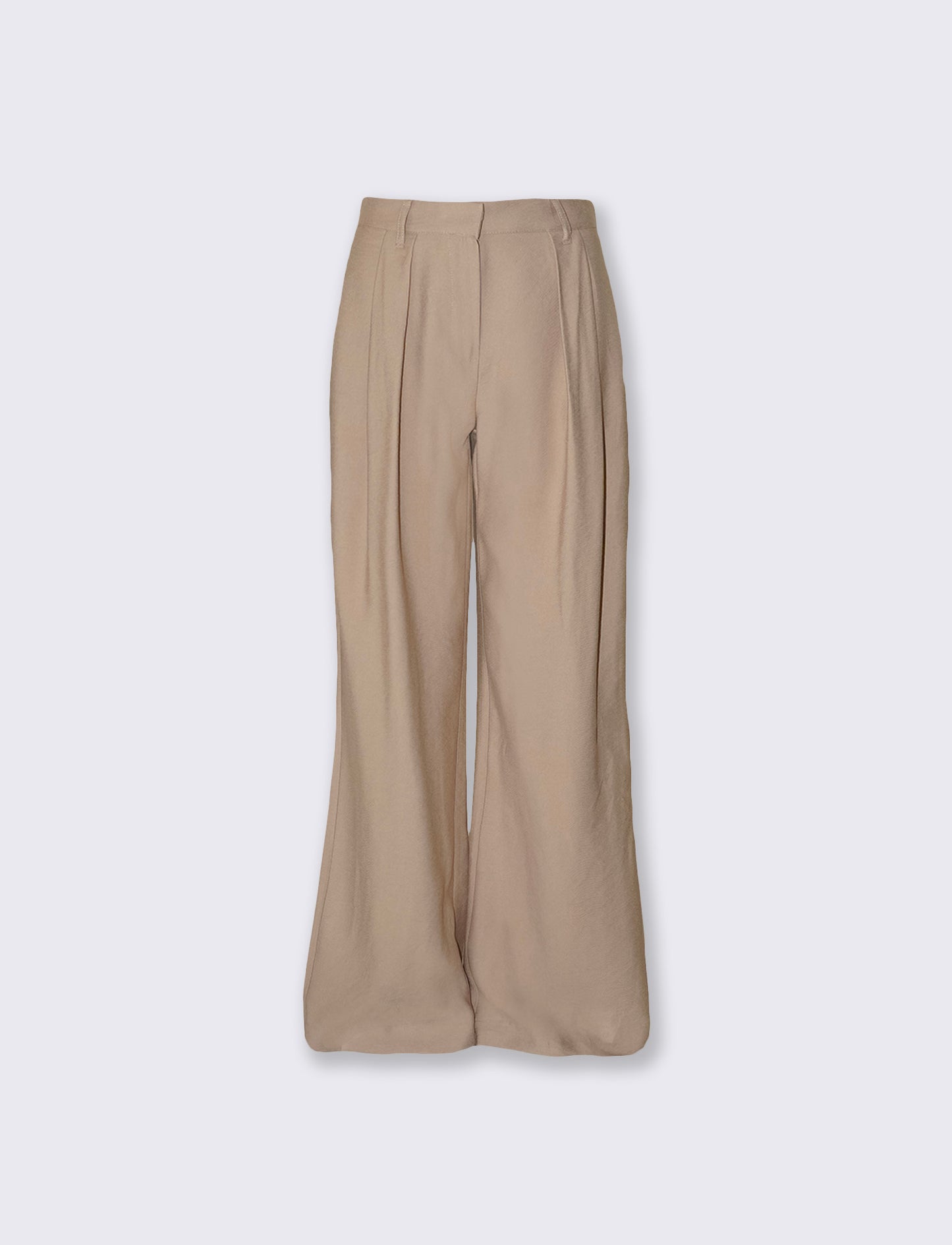 Palazzo Pants with Pleats and Pockets - Beige