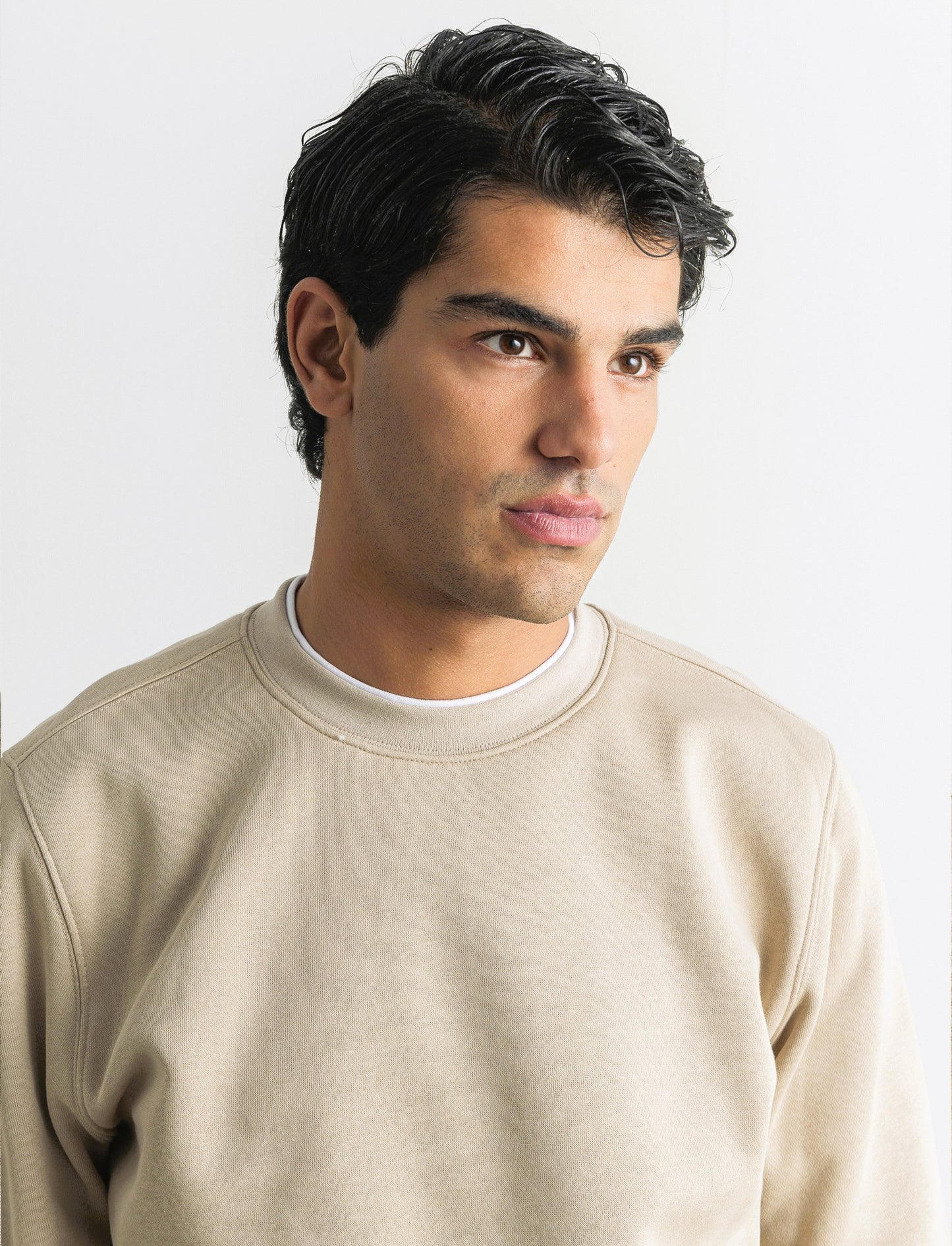 FELPA GIROCOLLO CON CONTRASTI - Beige