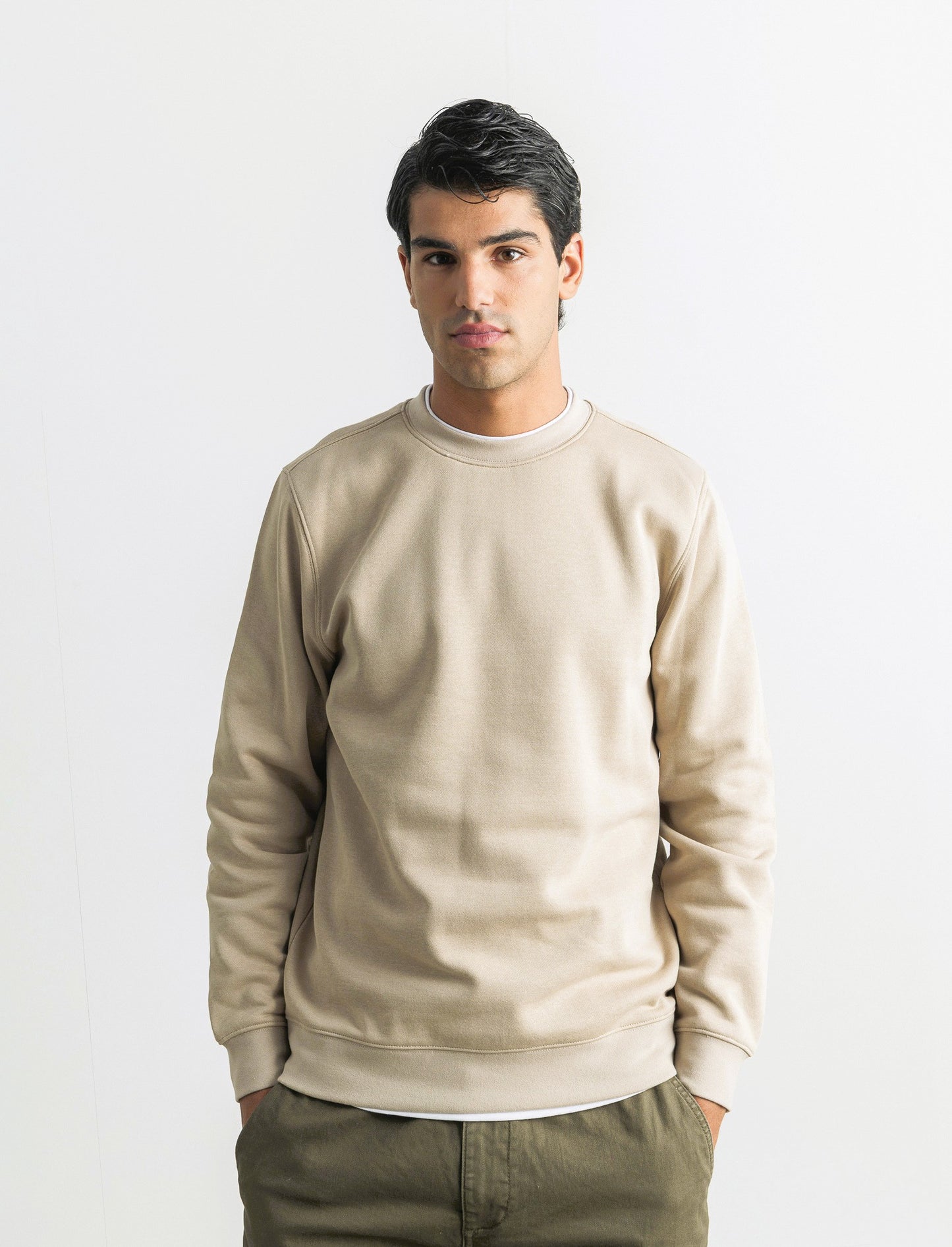 FELPA GIROCOLLO CON CONTRASTI - Beige