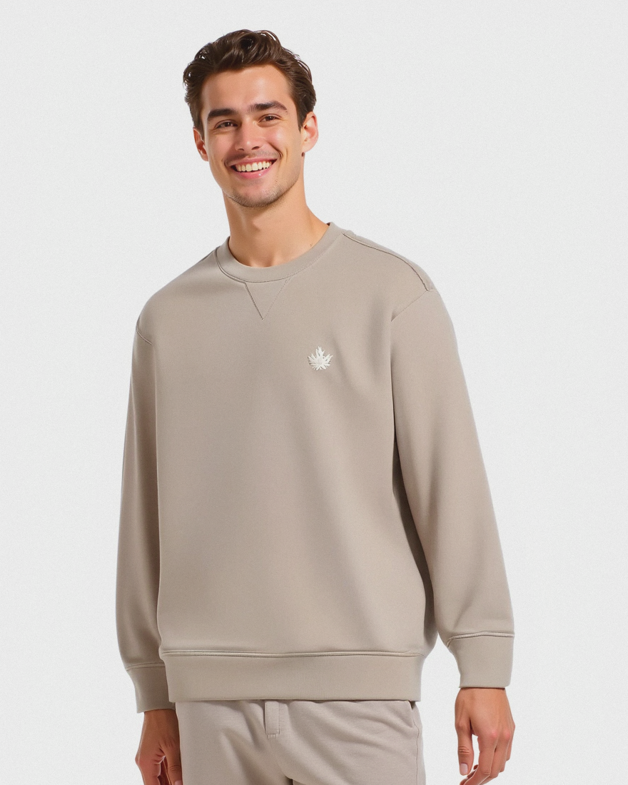FELPA GIROCOLLO REGULAR FIT CON RICAMO - Beige